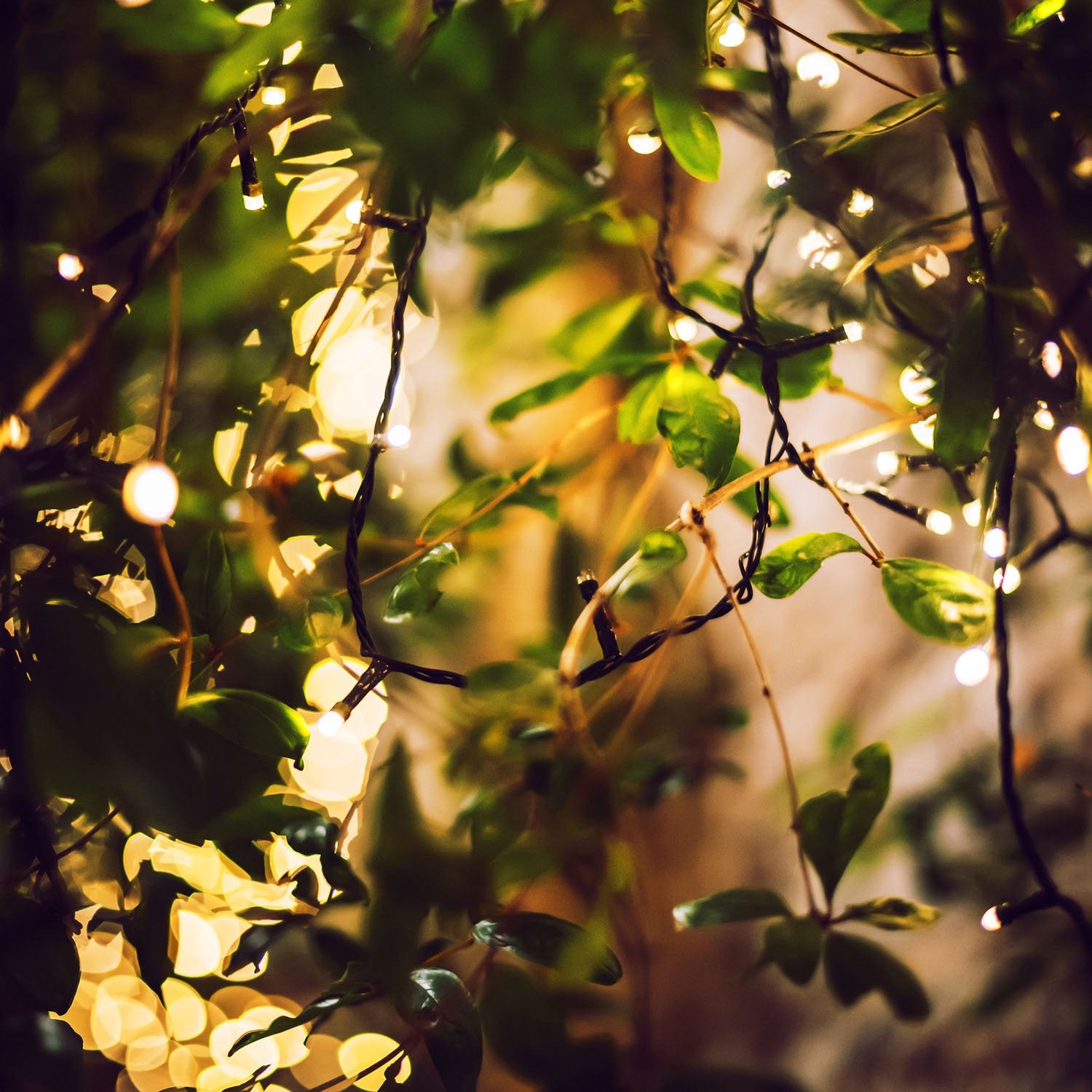 Outdoor LED String Lights 20m, 200 LEDs, Warm White
