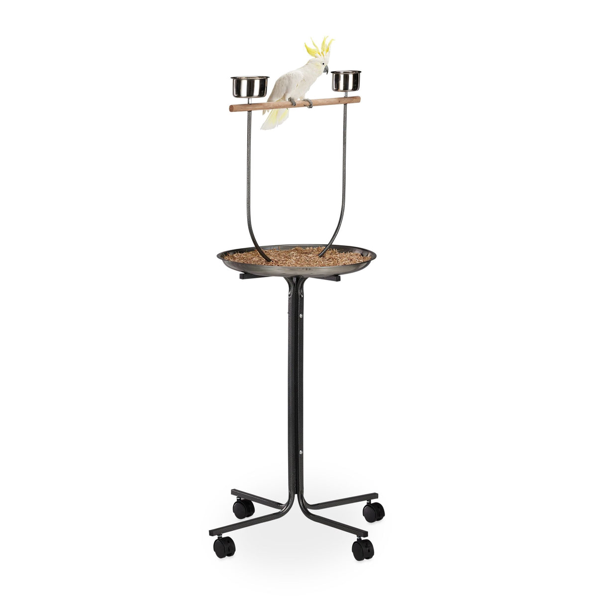 Parrot perch with stand