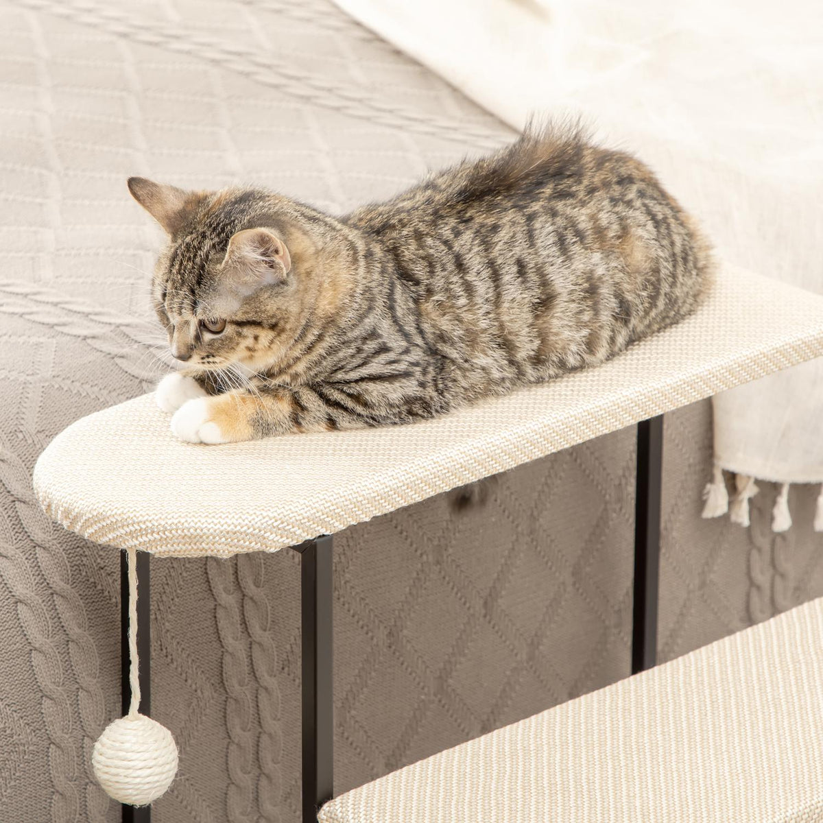 Pet Stairs 3-Step Cat Stairs Dog Stairs With Scratching Board And Hanging Play Ball Animal Stairs Steel Sisal Cream White + Black 51X54X53Cm