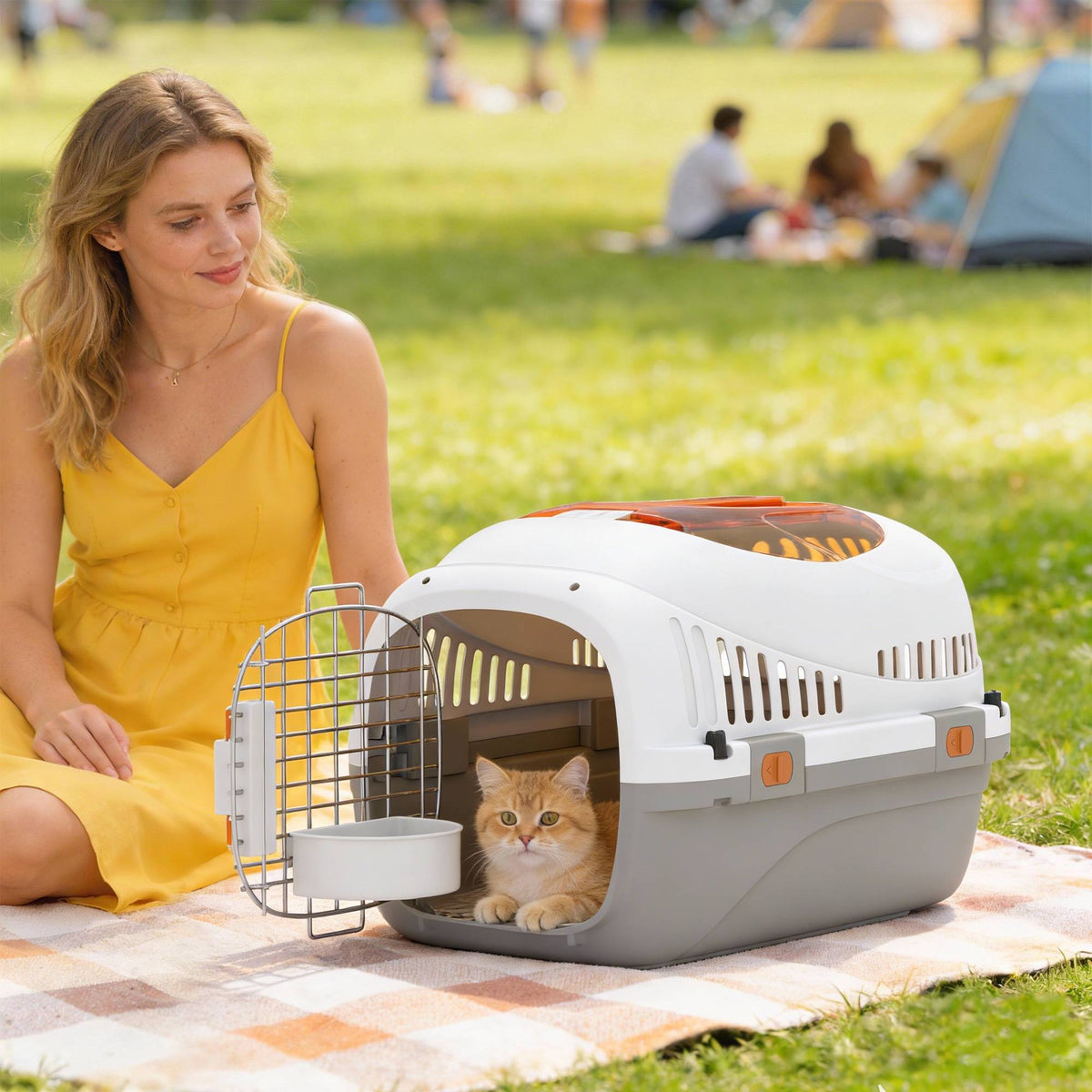 Pet Transport Box for Cats and Mini Dogs up to 4kg