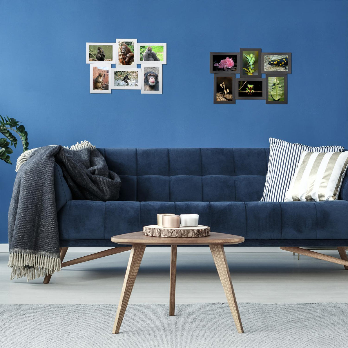 Picture frame for multiple photos