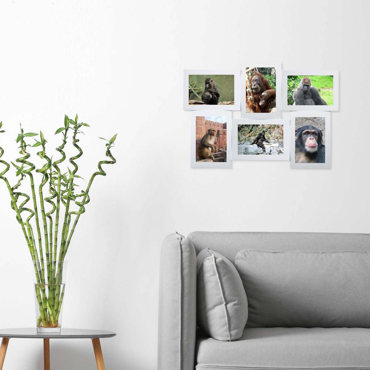 Picture frame for multiple photos