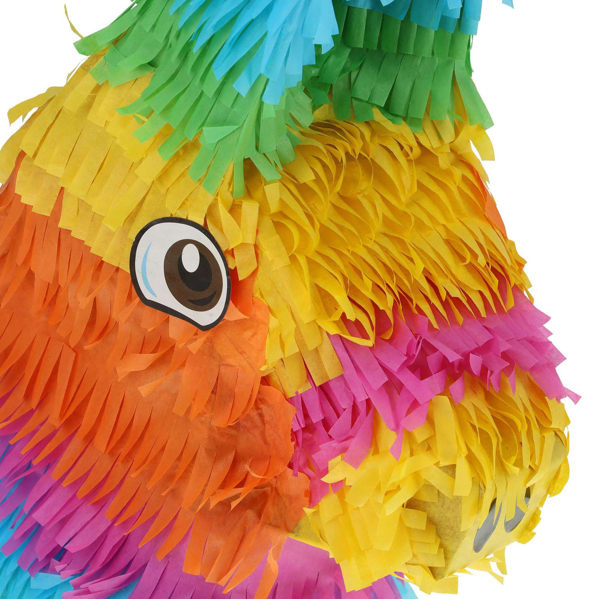 Pinata colorful donkey