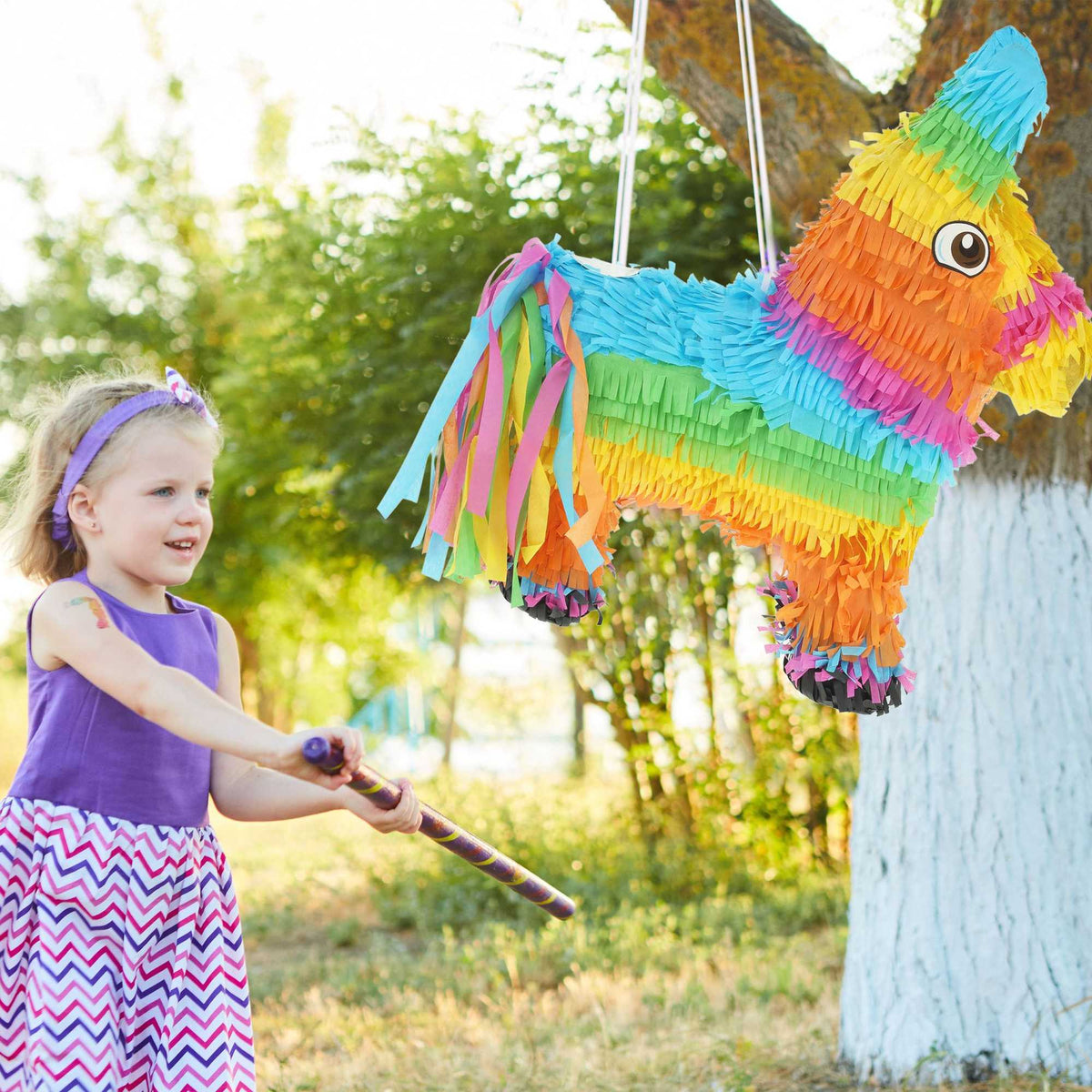 Pinata colorful donkey