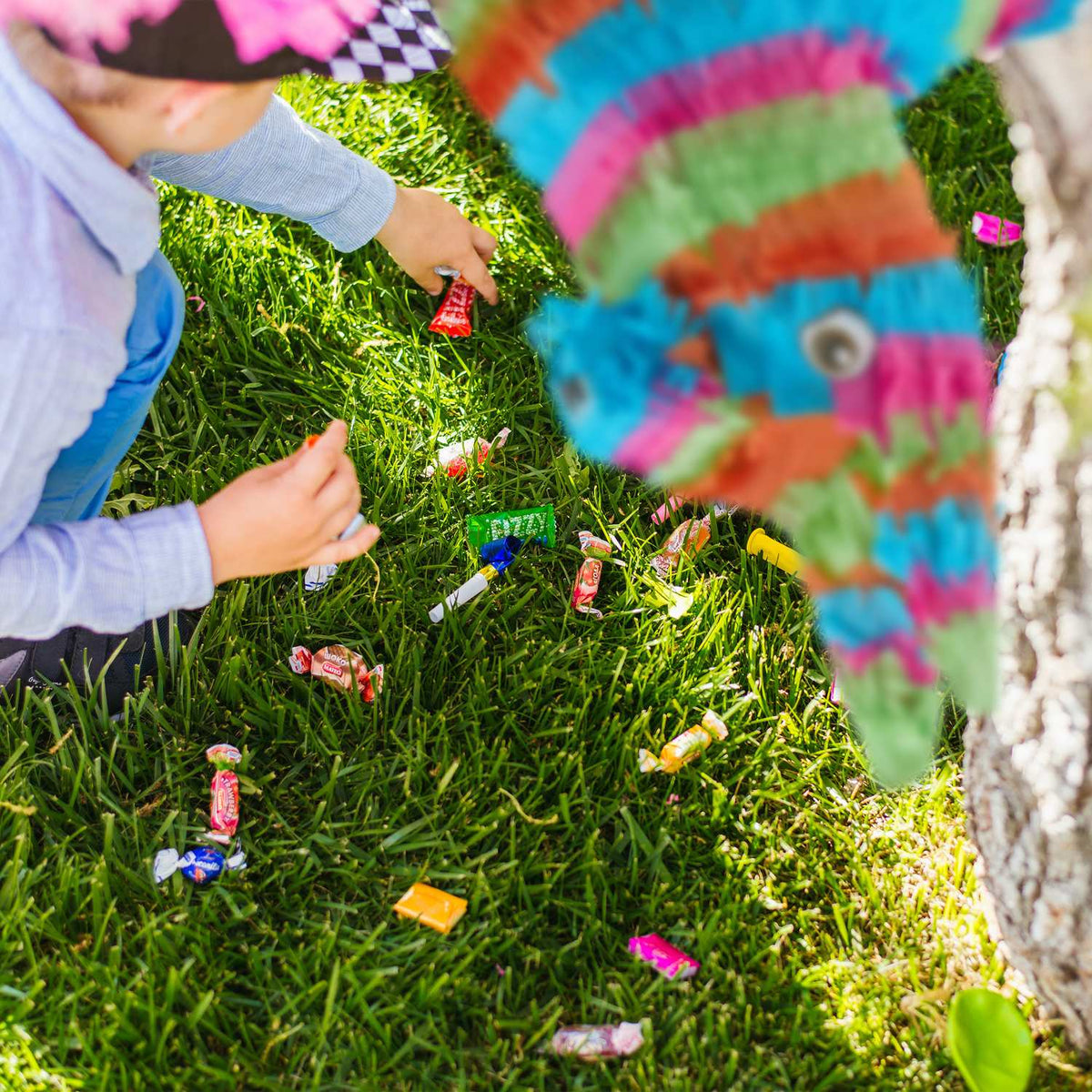 Pinata donkey multicolored