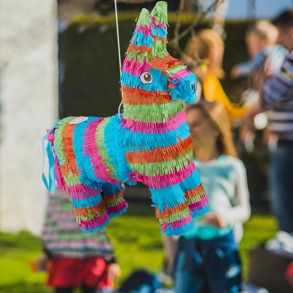 Pinata donkey multicolored