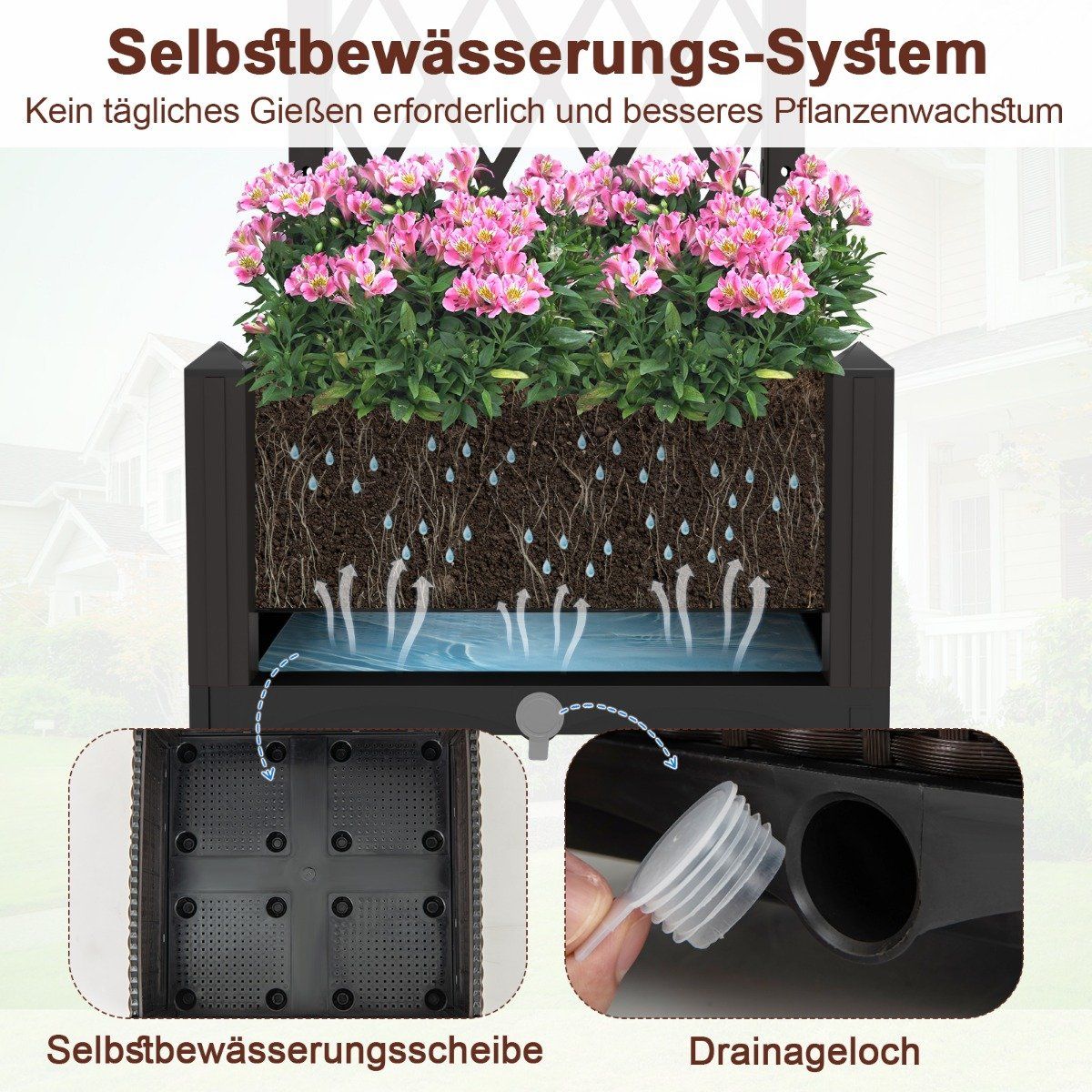 Planter Box with Trellis, Self-Watering, 40x40x122 cm, Brown