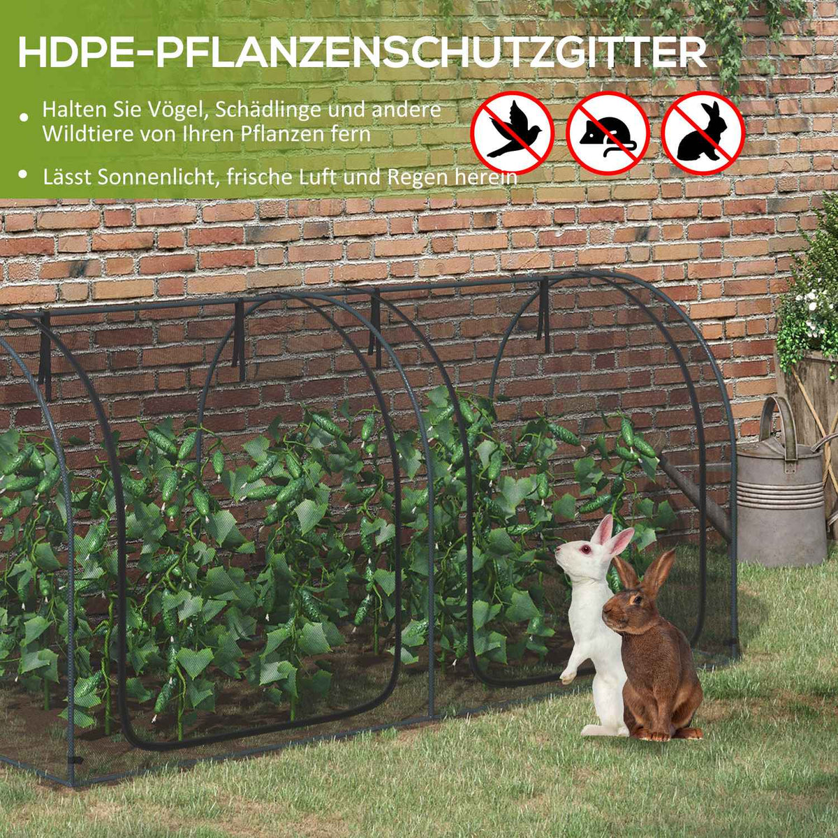 Plant protection net 2.5 x 1.2 m, vegetable protection net with door, steel frame, windproof vegetable net, garden fine mesh, insect protection net with carrying bag, garden net for plants, vegetables, fruits, flowers
