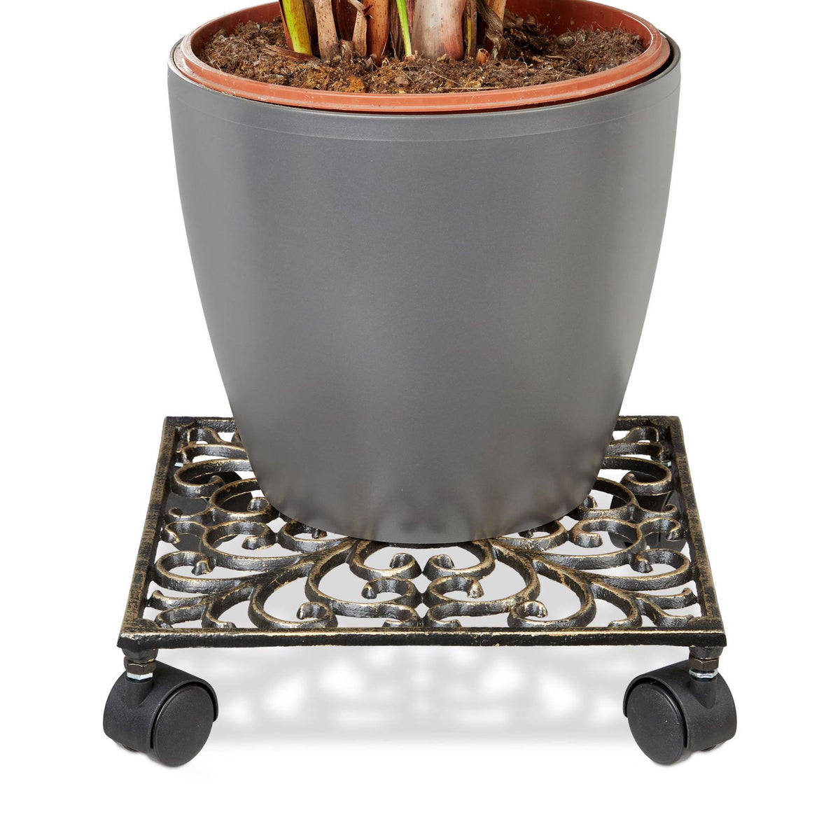 Plant roller in cast iron