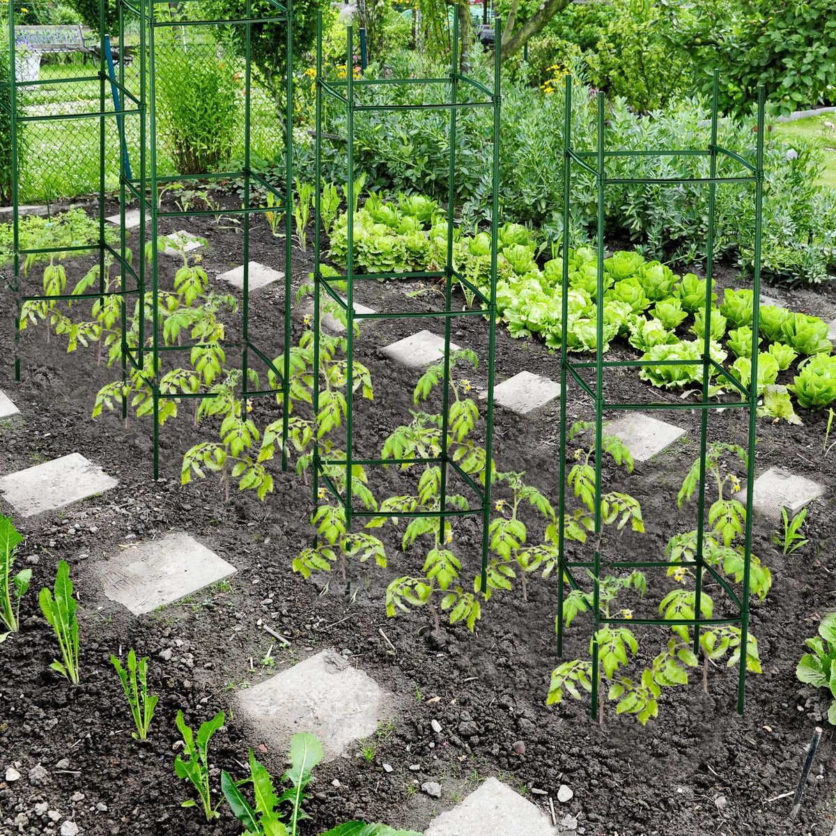 Plant support set of 4,120 cm