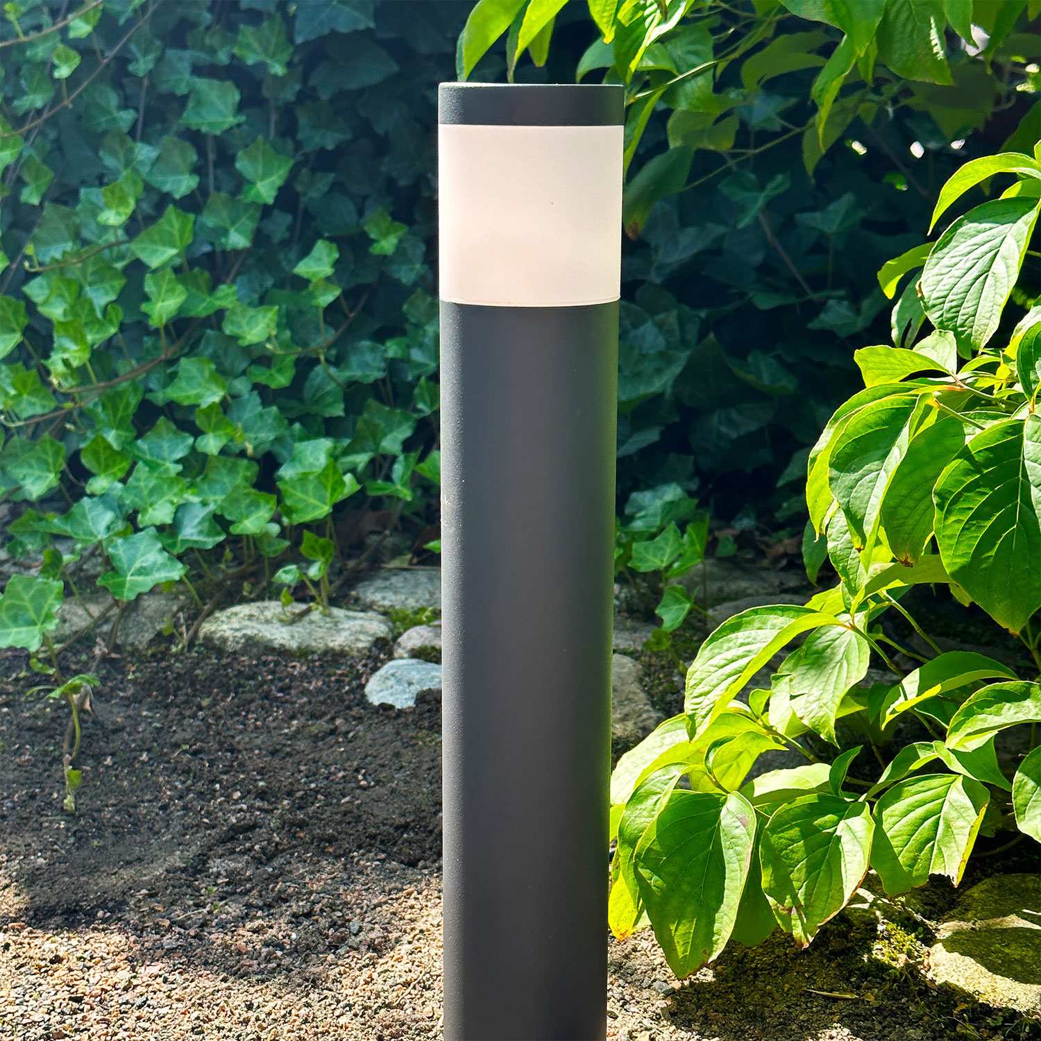 Polly Bollard 38cm 350lm 3000K 5W Anthracite