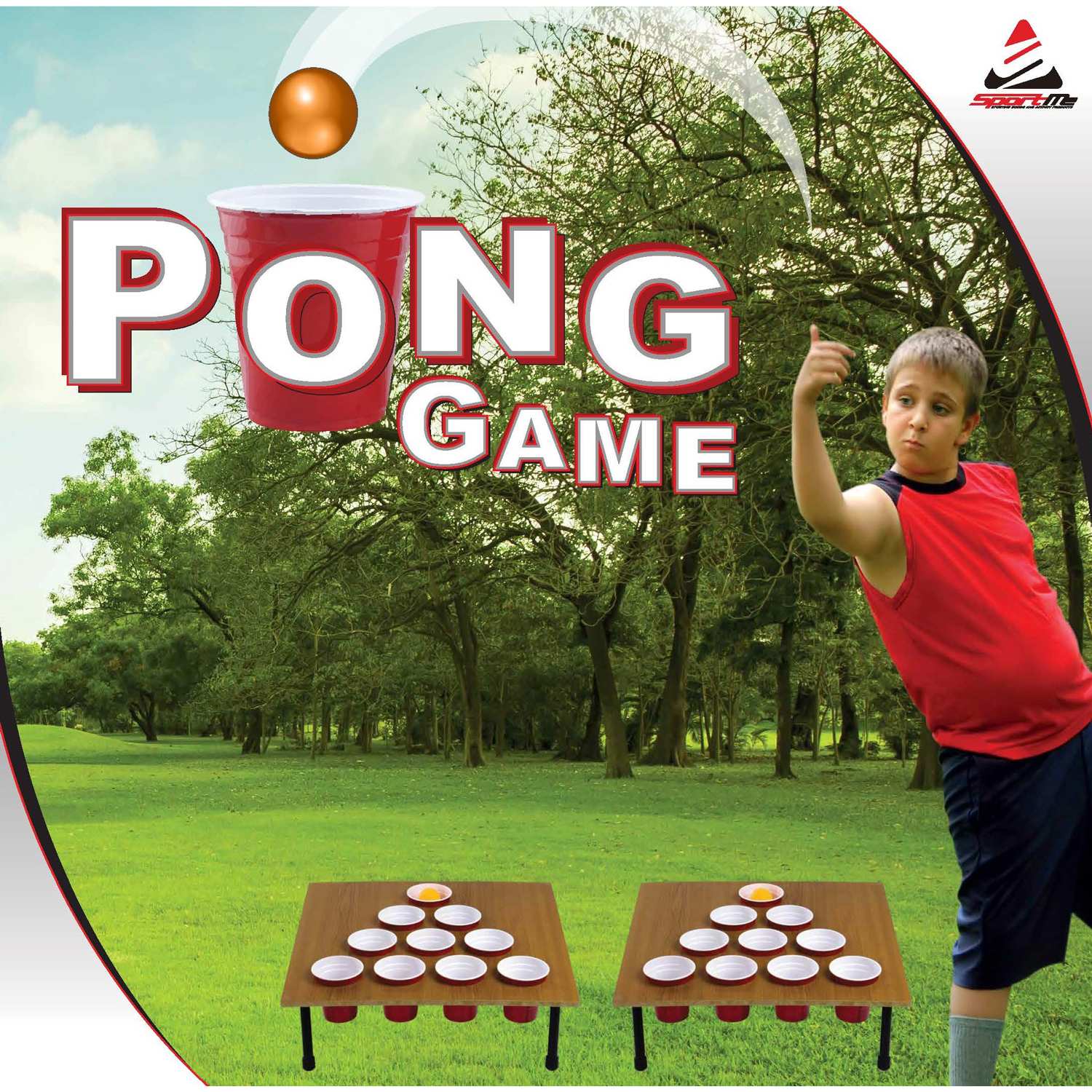 Pong Game