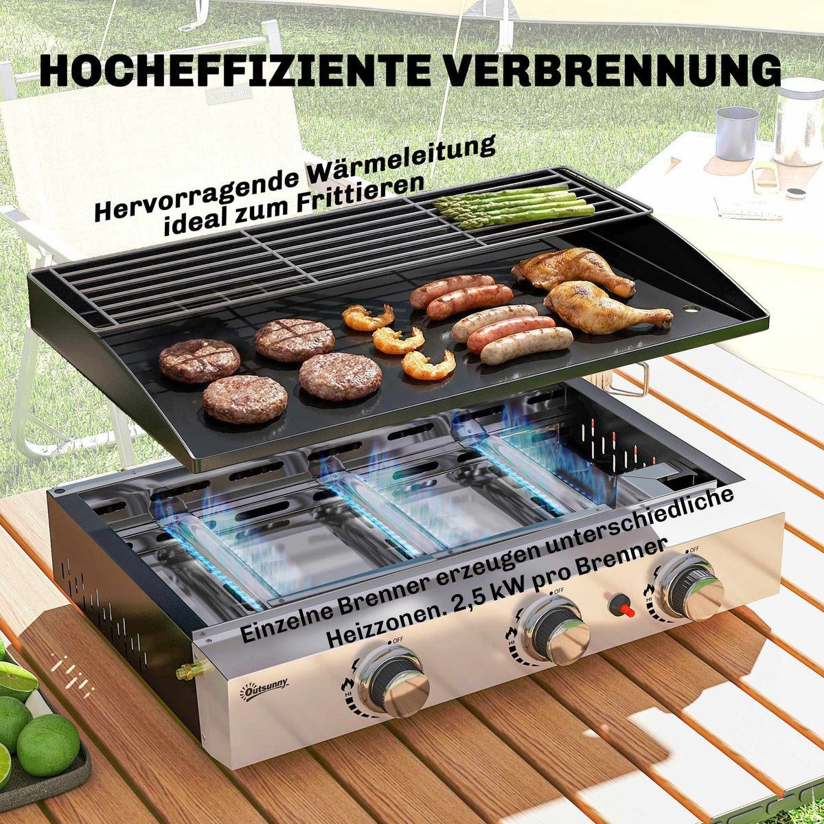 Portable 3-Burner Gas Grill with Ceramic Coating