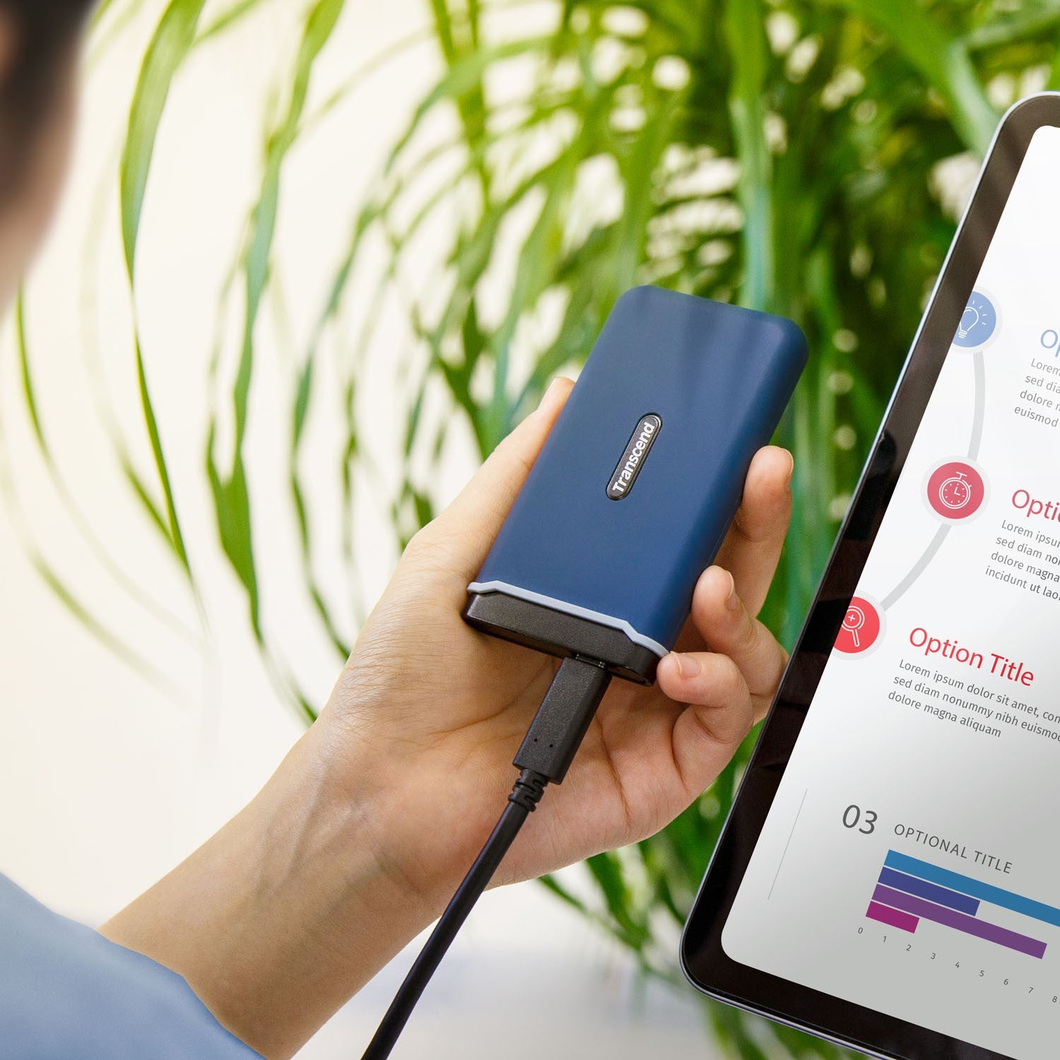 Portable SSD ESD370C USB-C 500GB (R1050/W950)