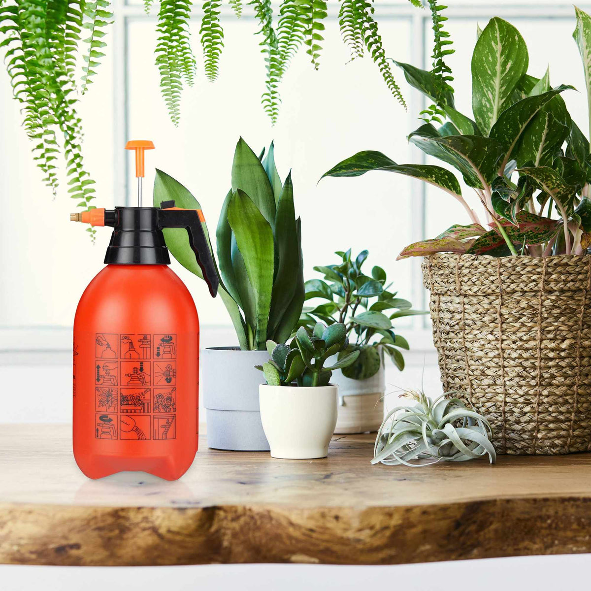 Pressure sprayer 3 liters orange