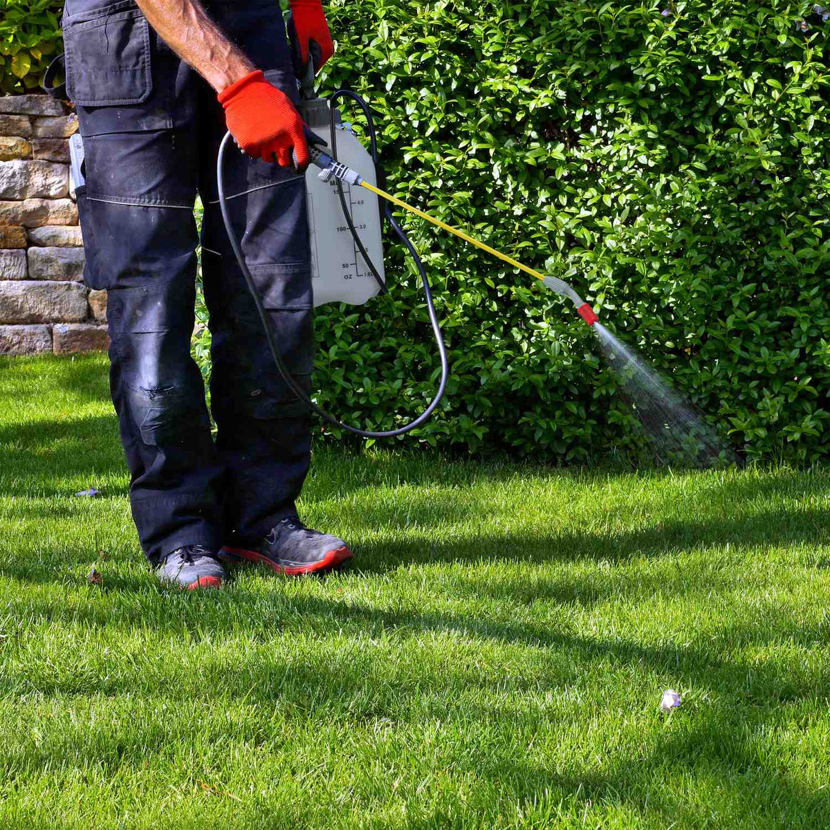 Pressure sprayer 5 l