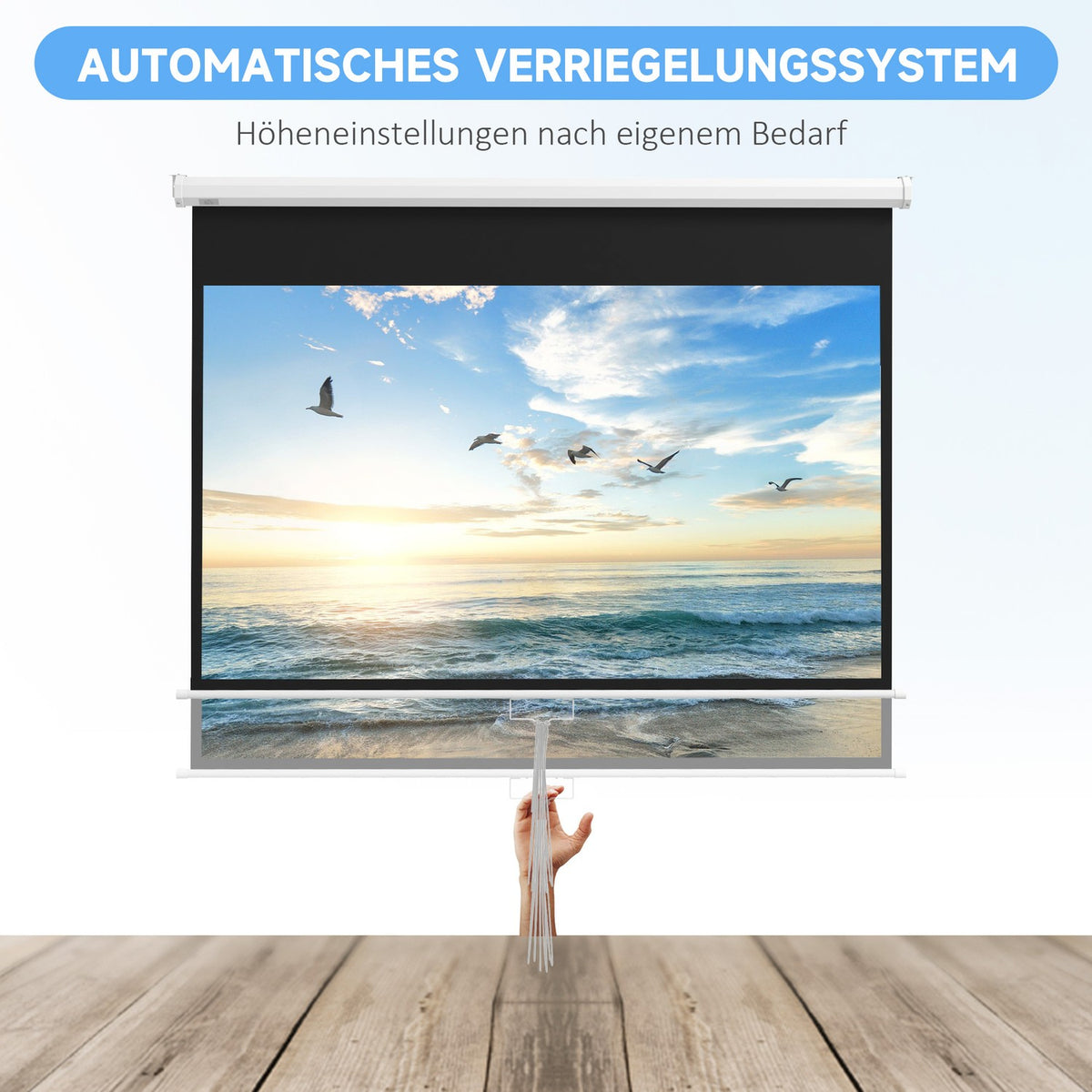Projector screen 172 x 96 cm manual projection screen, roll screen for 4K, HD, film screen for home cinema and presentation white
