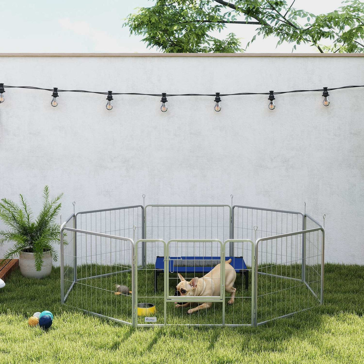 Puppy run 60 cm high, 8-piece dog playpen, puppy playpen with belt and door, outdoor enclosure for small to medium-sized dogs, guinea pigs, rabbits, steel, silver