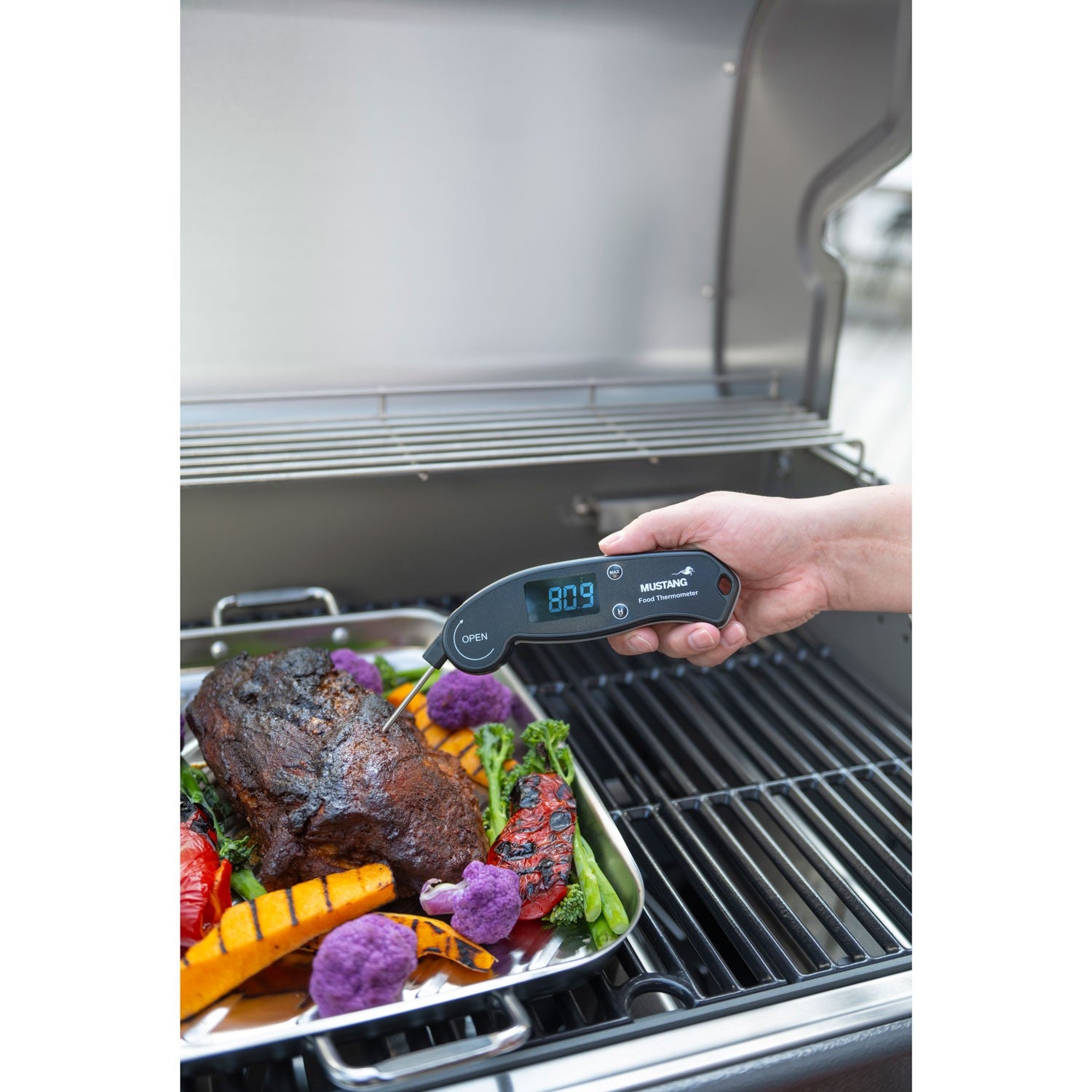 Quick Reading Thermometer