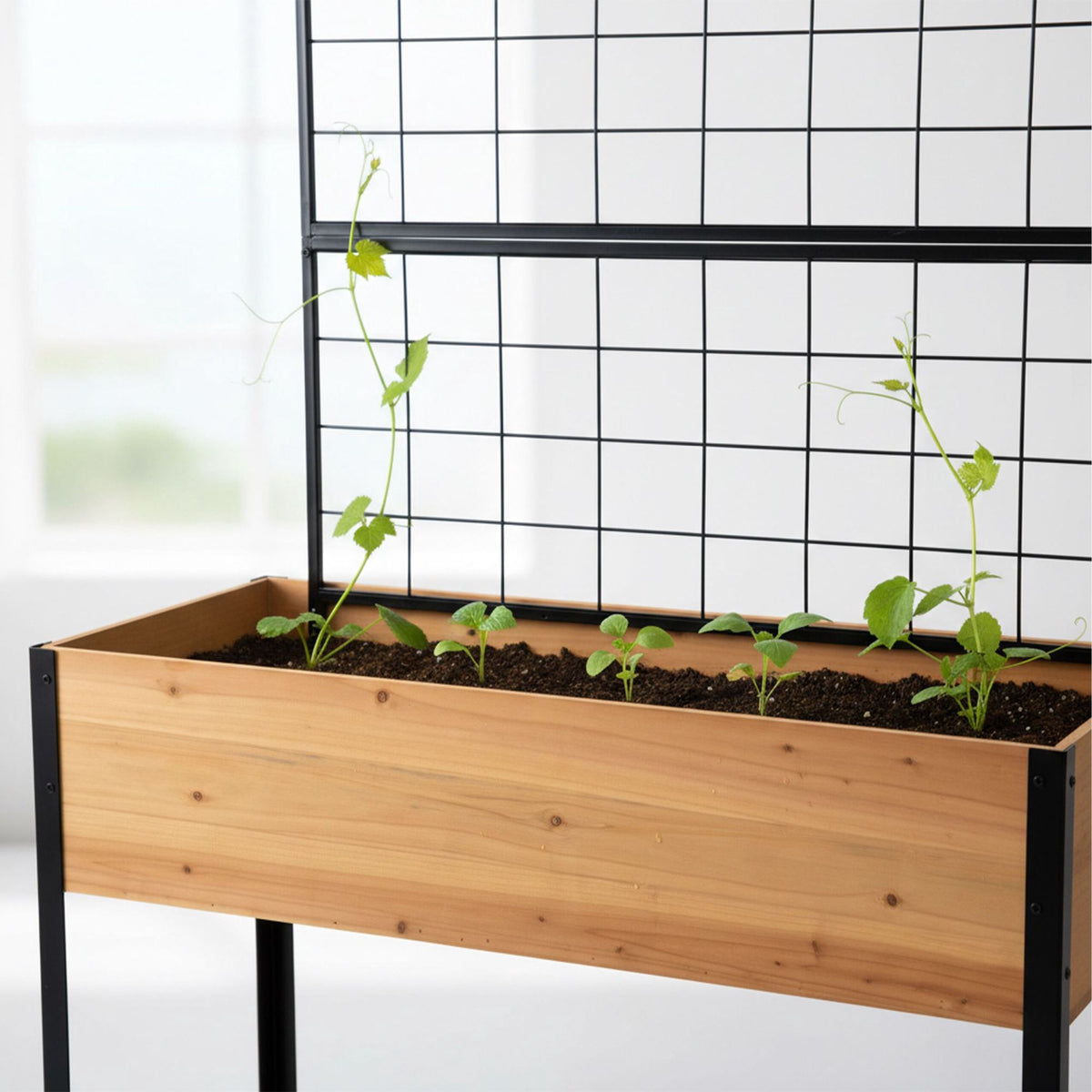 Raised Bed with Trellis and Shelf – Pine and Steel