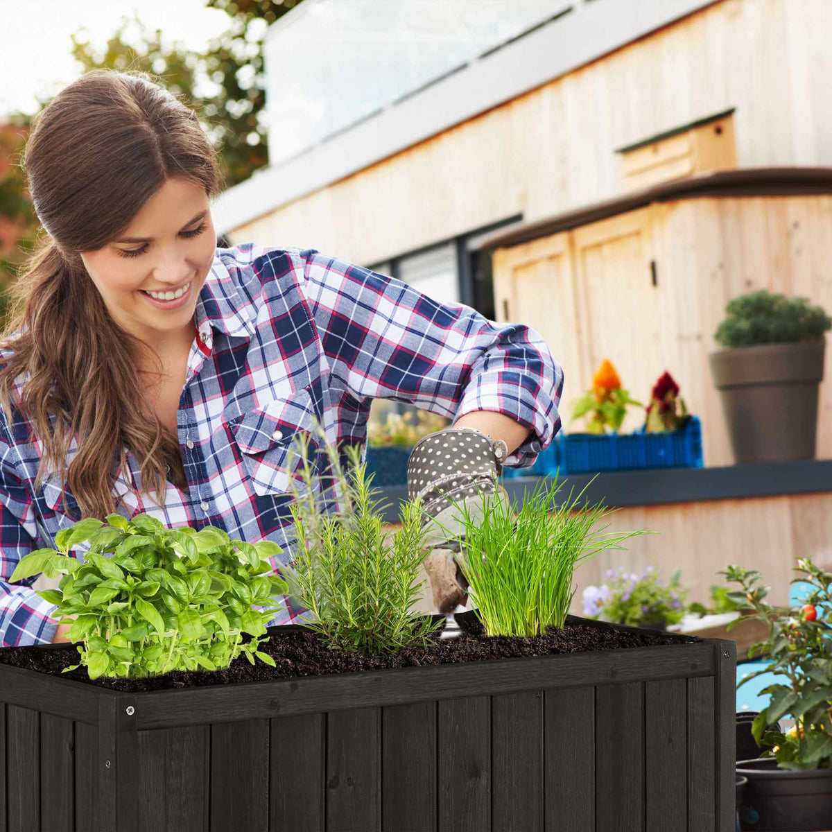 Raised bed of spruce