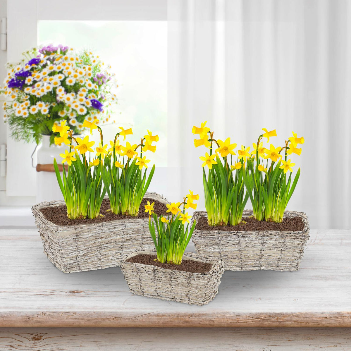 Rectangular flower pot - set of 3