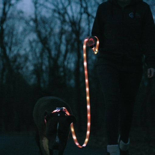 Reflective Dog Leash & Collar Set – Weather Resistant, 1.5M