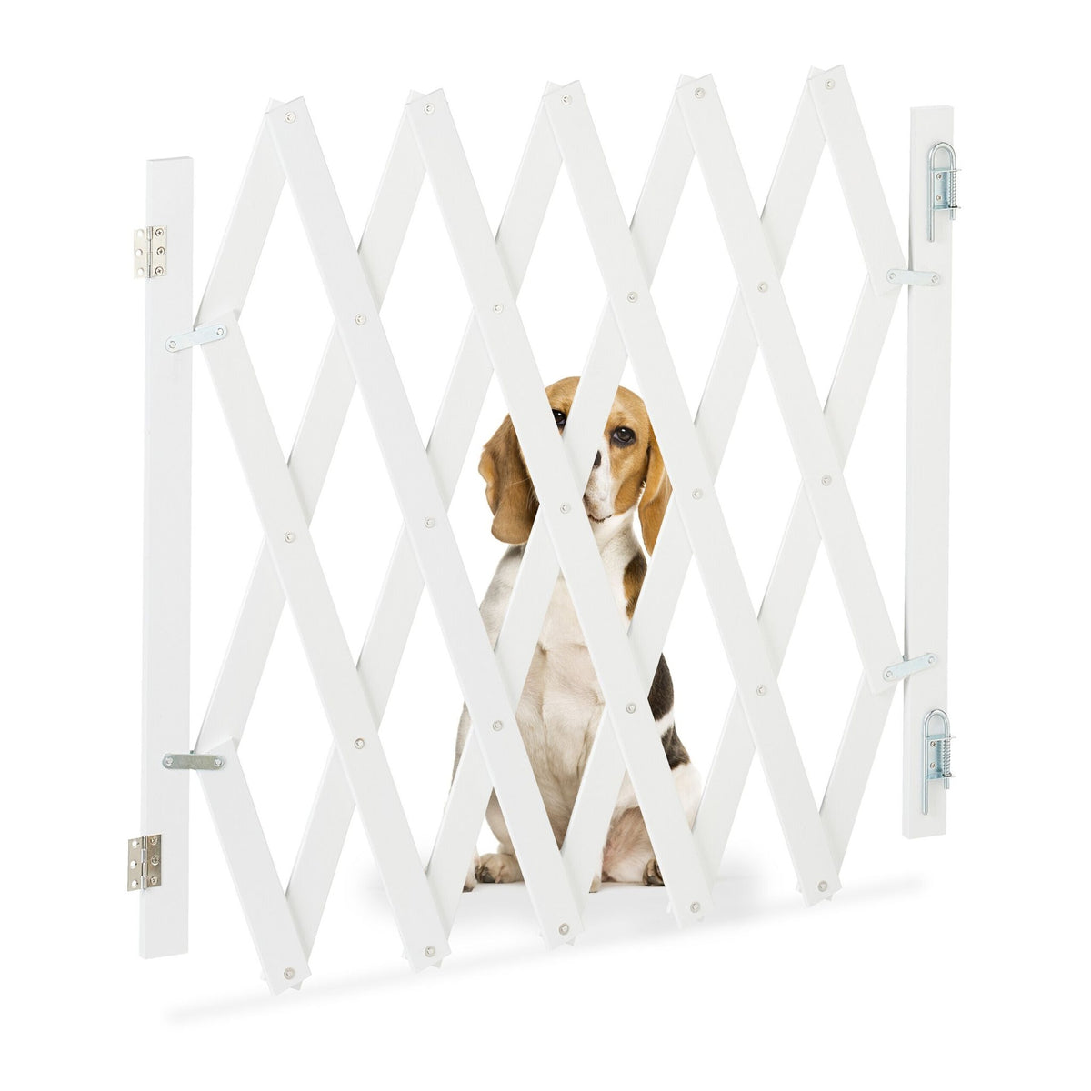 Retractable dog rail in white