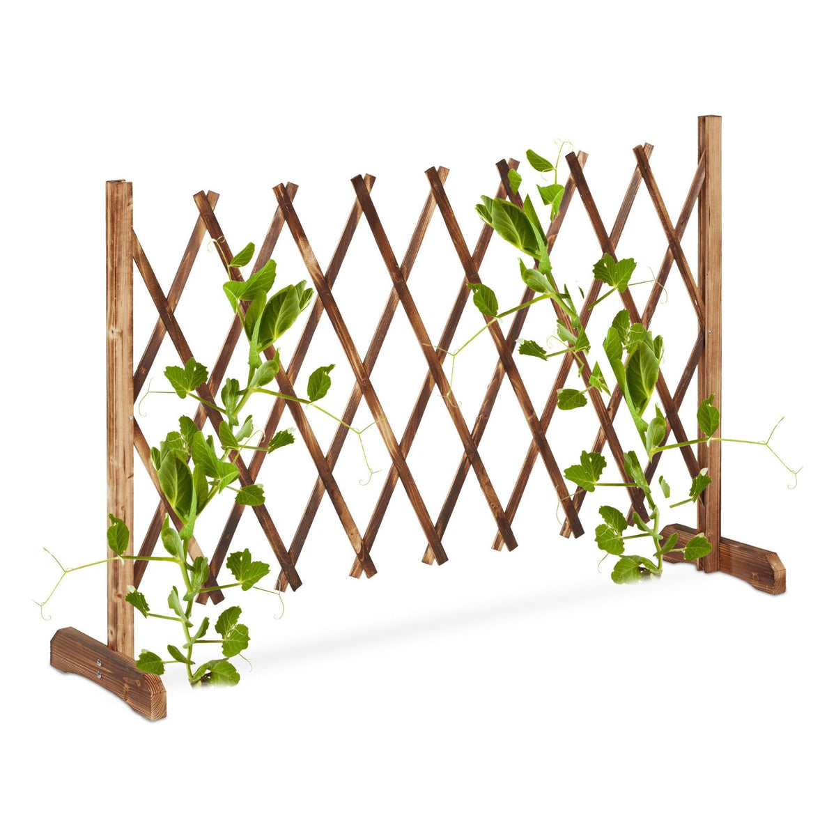 Retractable trellis natural