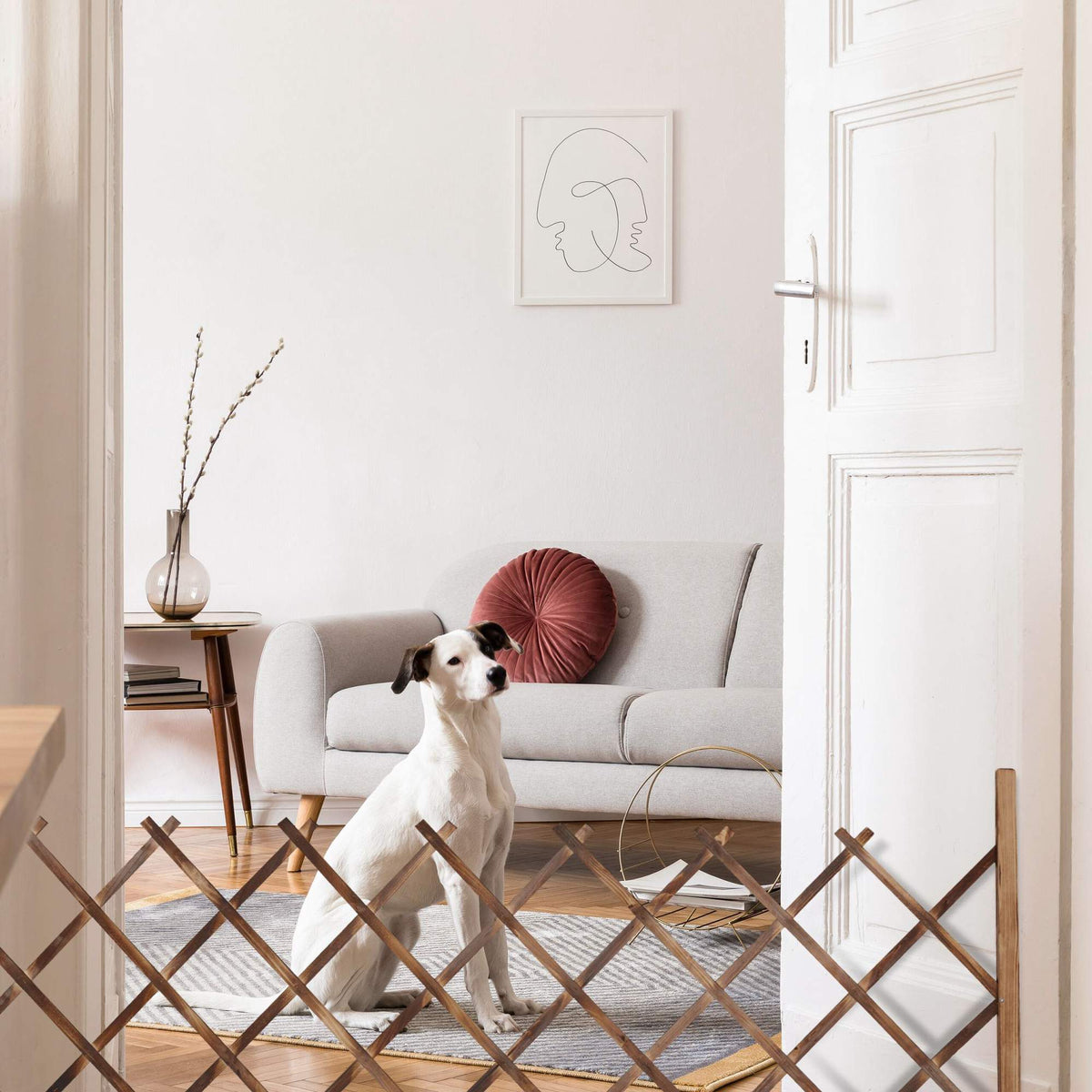 Retractable trellis natural