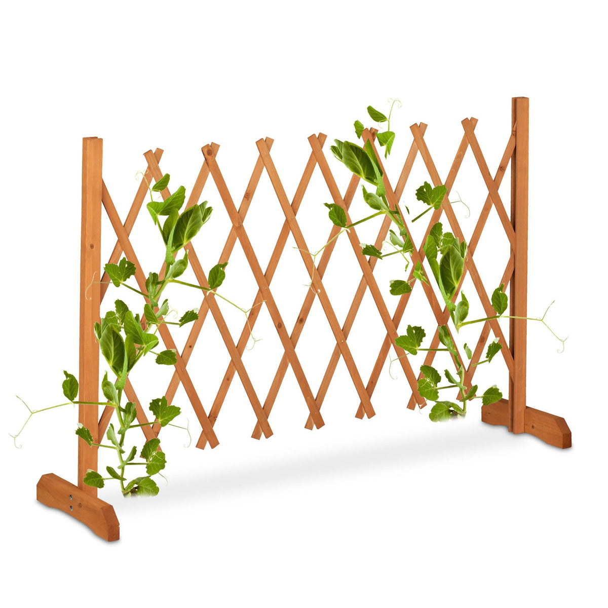 Retractable wooden trellis