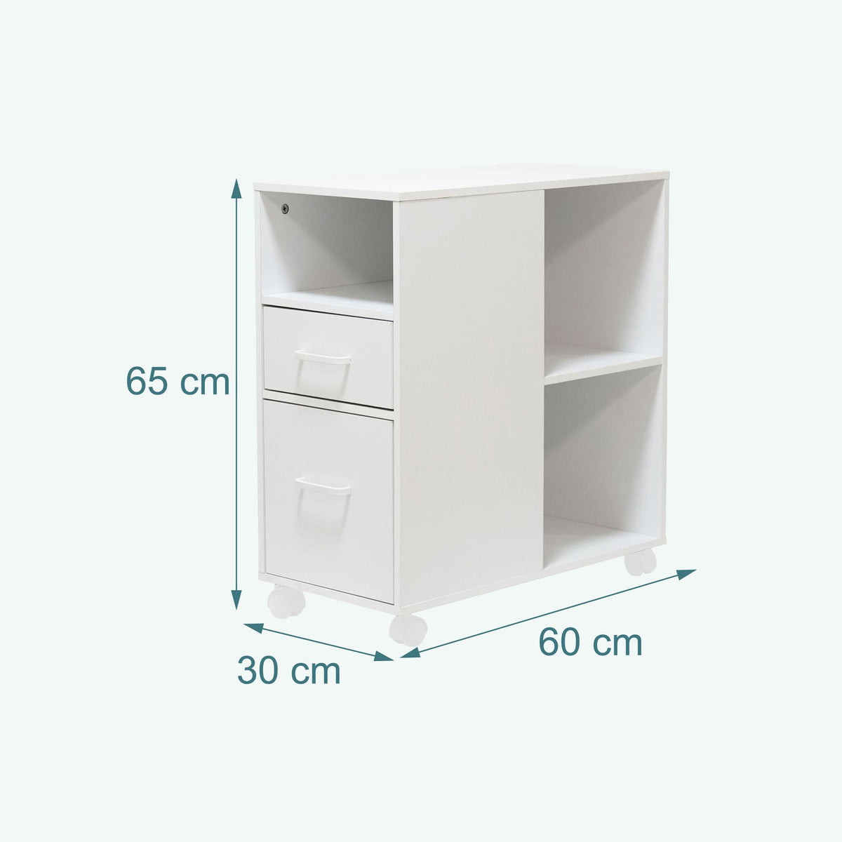 Rolling Filing Cabinet with 2 Drawers & 3 Shelves