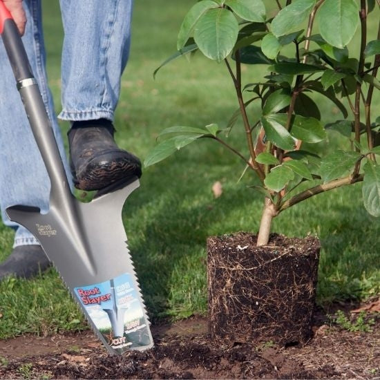 Root Slayer Garden Spade, Carbon Steel, Sharp Teeth