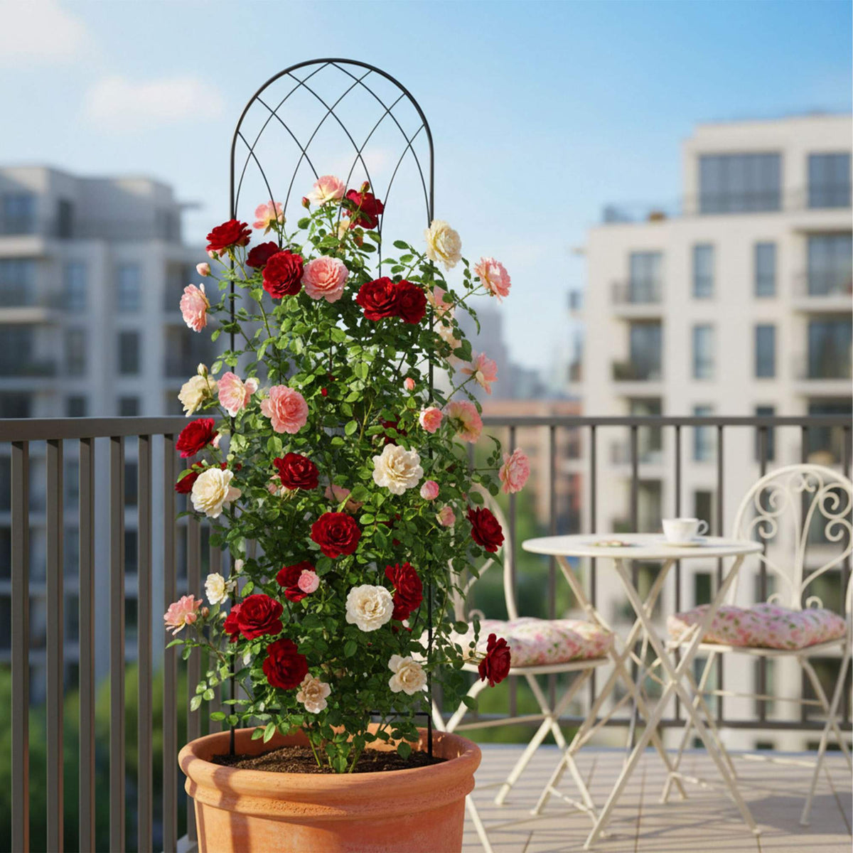 Rose Trellis Set Of 2, Metal Arched With Ground Spikes