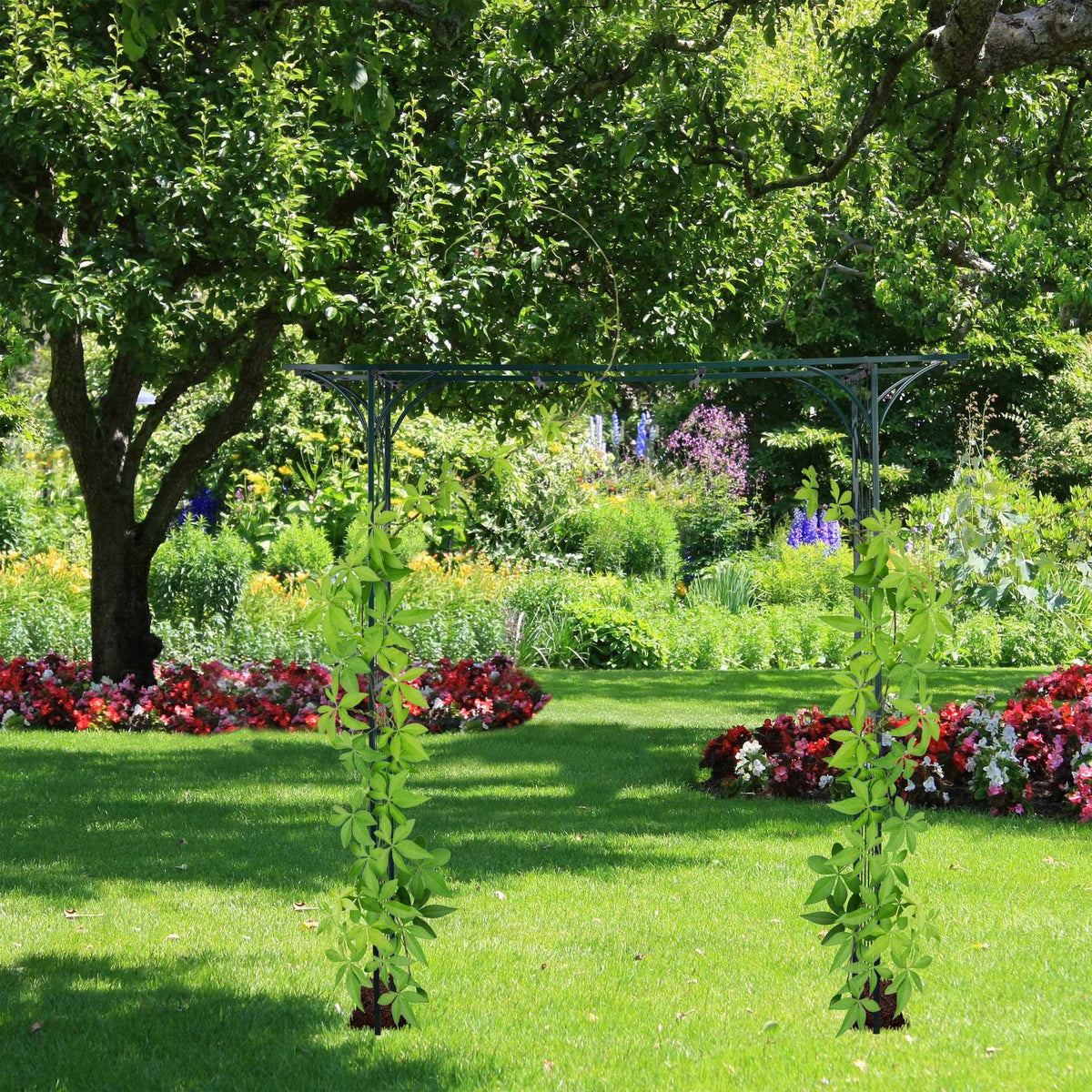 Rose arch in metal