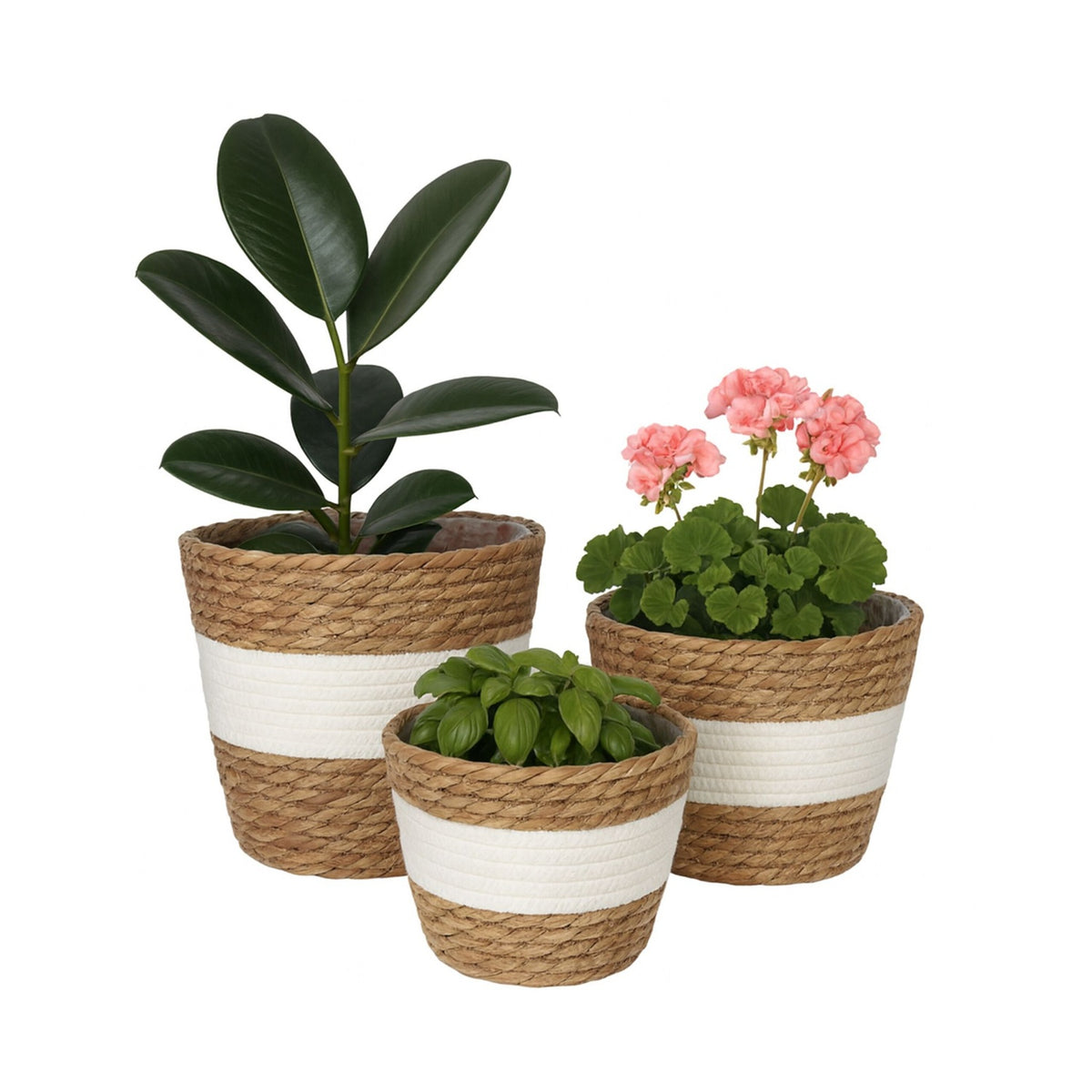 Round Plant Pot Set of 3 – Reed Design, Liner Included
