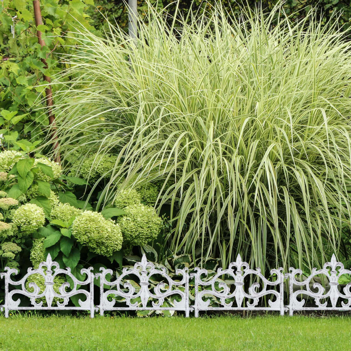 Round rolling plate for potted plants