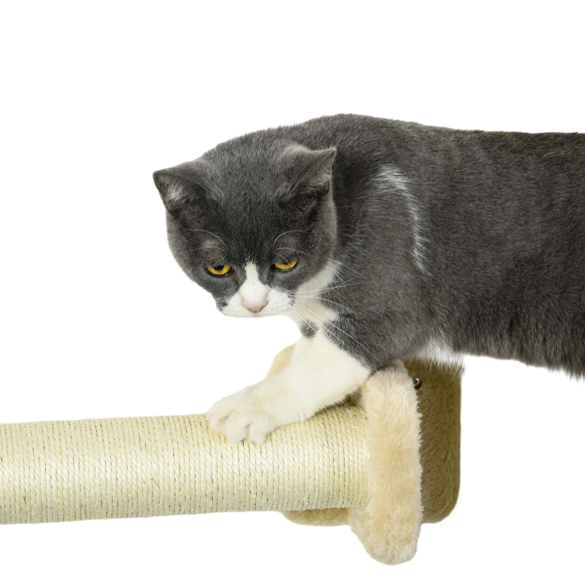 Scratching Board, Springboard, Light Gray