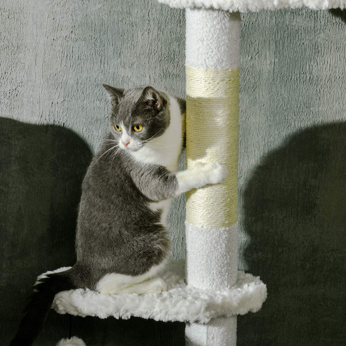 Scratching Post, Cat Tree Ceiling High, Cat Scratching Post, 225-255 Cm, Climbing Tree With Play Ball, Jute Rope Post, Hammock, Cat Ladder