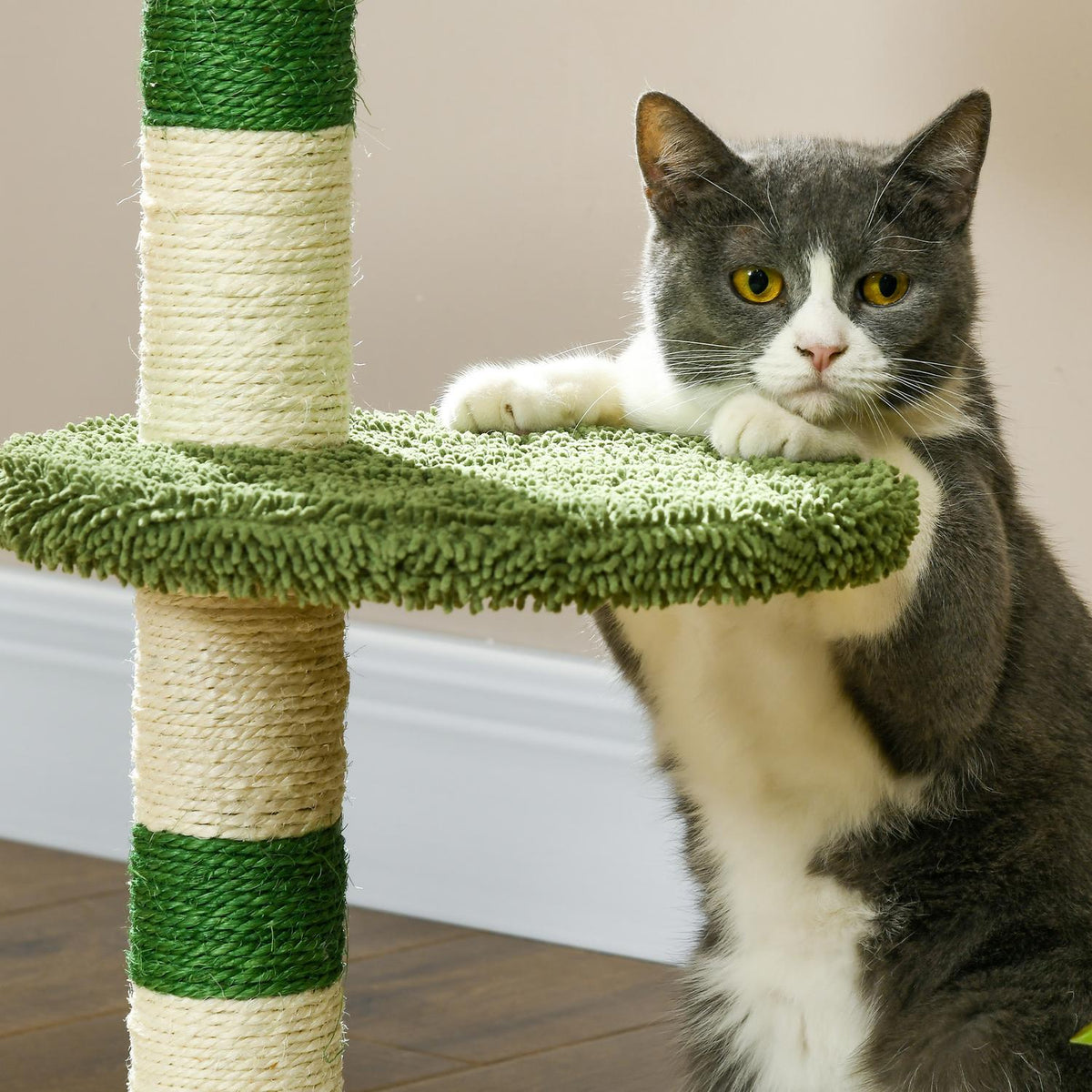 Scratching Post Small 64Cm Round Cat Tree With Lying Area & Toy Ball, For Cats Up To 4Kg, Sisal, White/Green