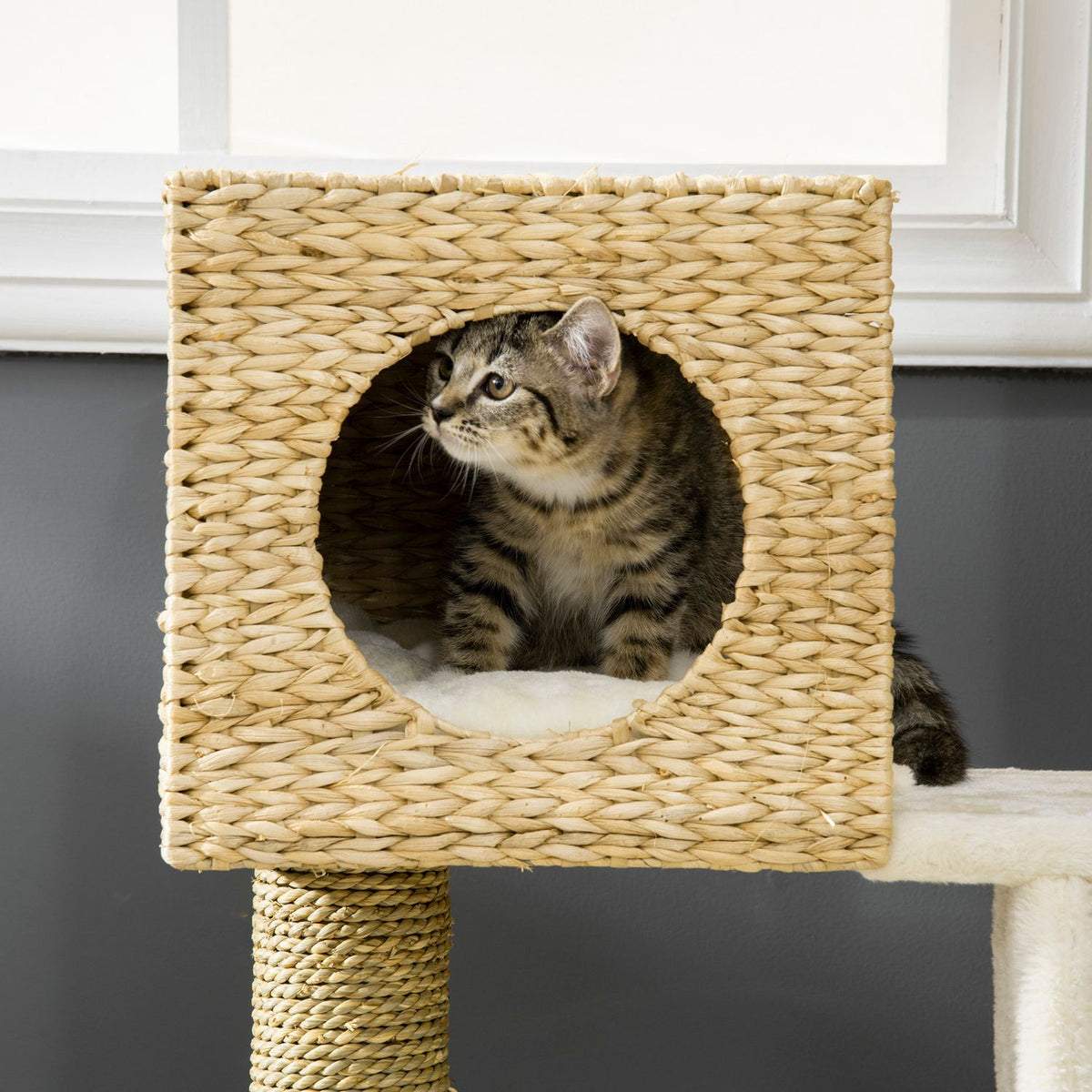 Scratching post 100.5H cm, cat tree with cat cave, bed, cat stairs with sisal scratching posts, cushion, for small cats, natural