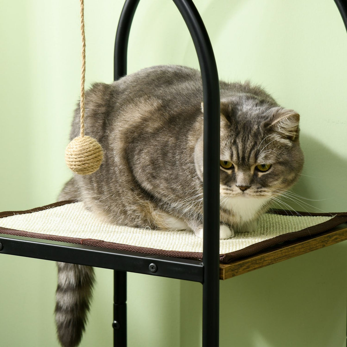 Scratching post 118.5 cm cat tree with cat cave, bed, scratching mat, cat scratching post with play ball, tip protection, for cats up to 5 kg, rustic brown