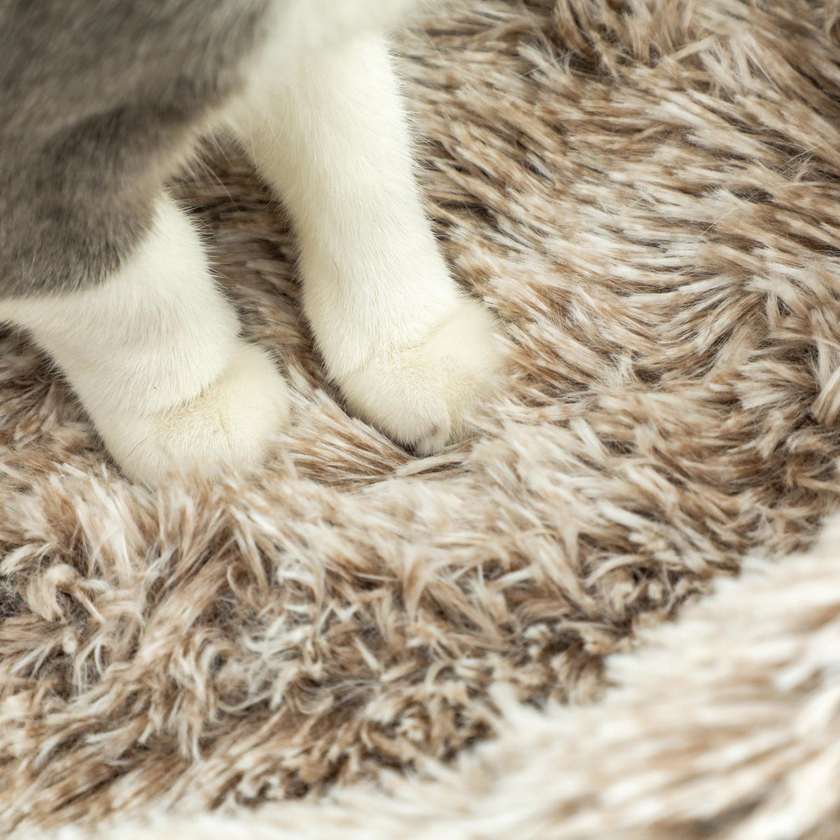 Scratching post 87 cm high cat tree with bed, thick trunk, cat scratching post with sisal scratching posts, for cats up to 6 kg, indoor, brown