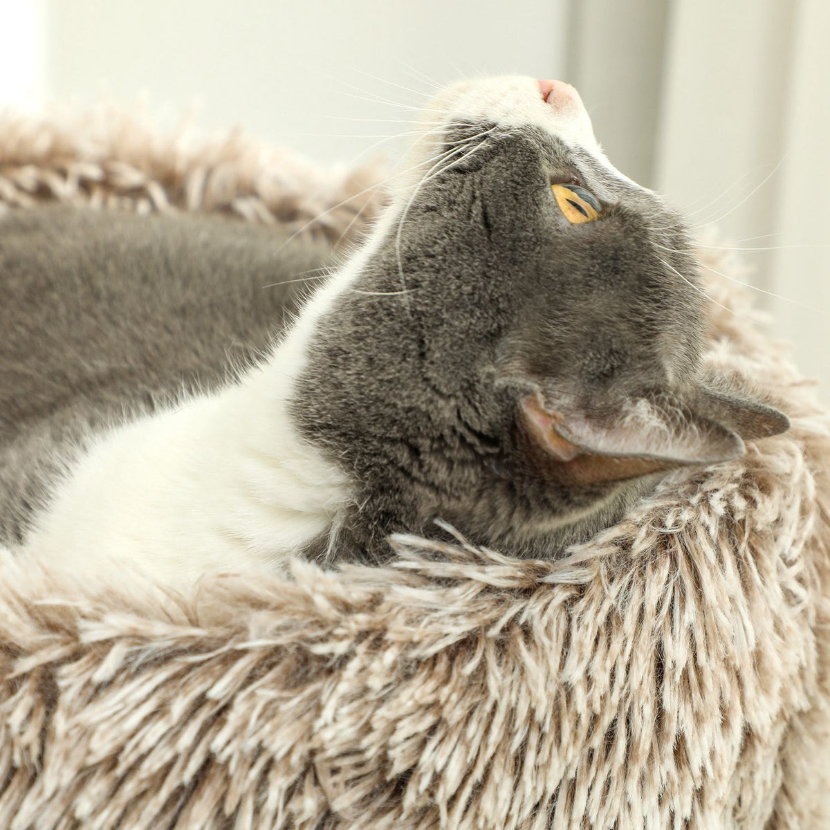 Scratching post 87 cm high cat tree with bed, thick trunk, cat scratching post with sisal scratching posts, for cats up to 6 kg, indoor, brown