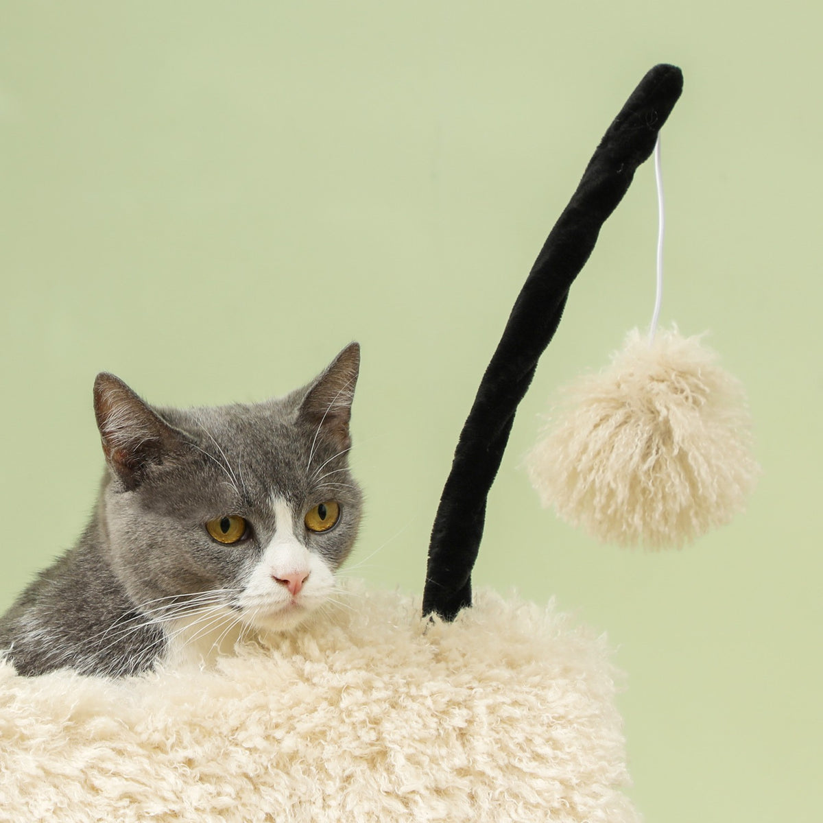 Scratching post 98 cm cat tree with scratching post, tunnel, play ball, cat scratching post in sheep design, for cats up to 5 kg, light brown