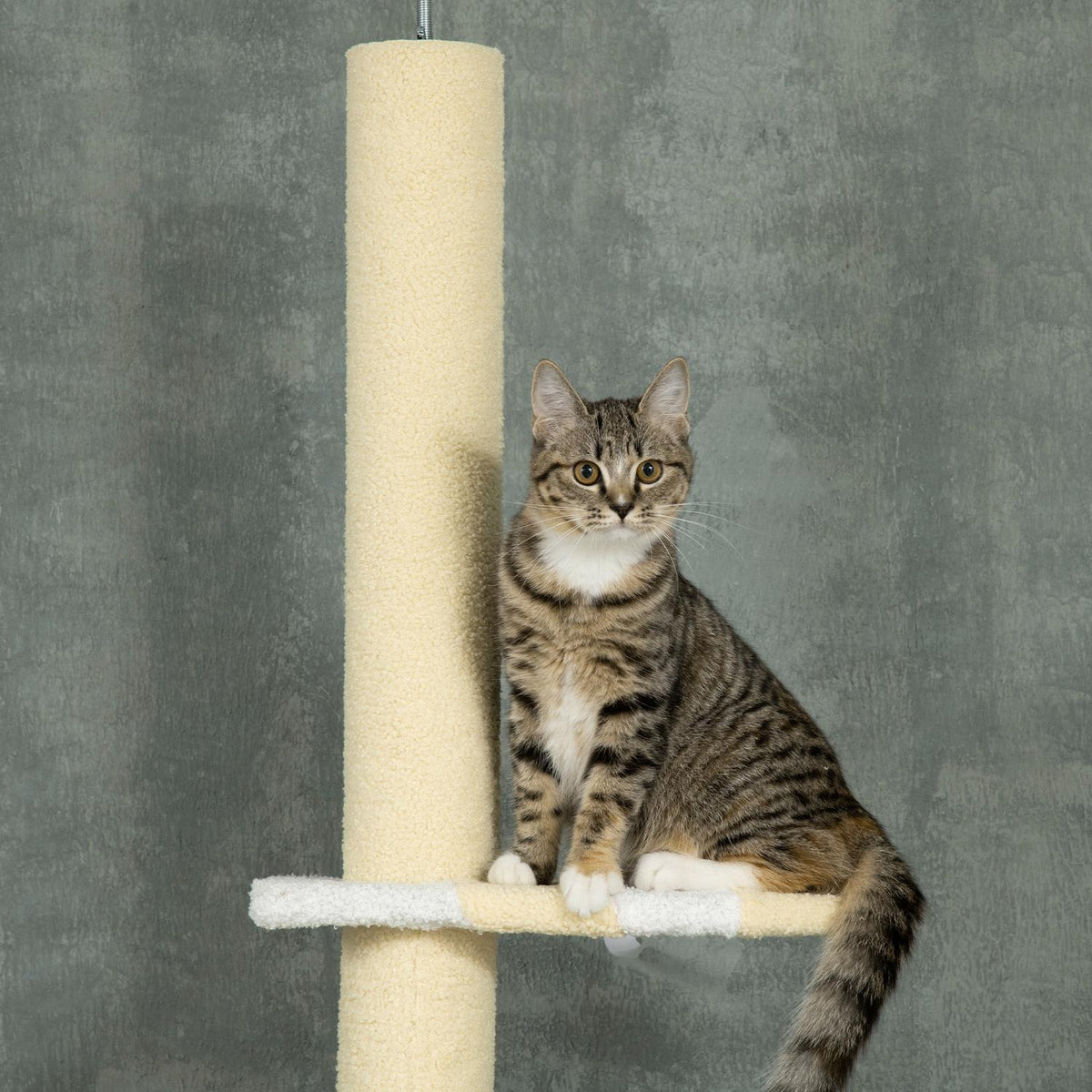 Scratching post, cat scratching post ceiling high, 220-260 cm, climbing tree with play ball, cat tree height adjustable, play tree with tip protection, plush, yellow
