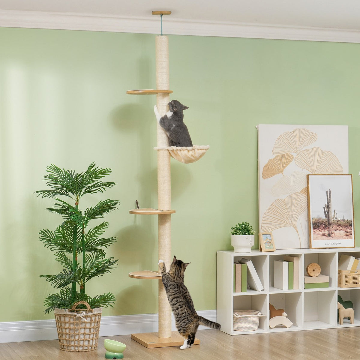 Scratching post, cat scratching post ceiling high, 230-250 cm, climbing tree with hammock, cat tree height adjustable, play tree with tip protection, plush, oak + cream white