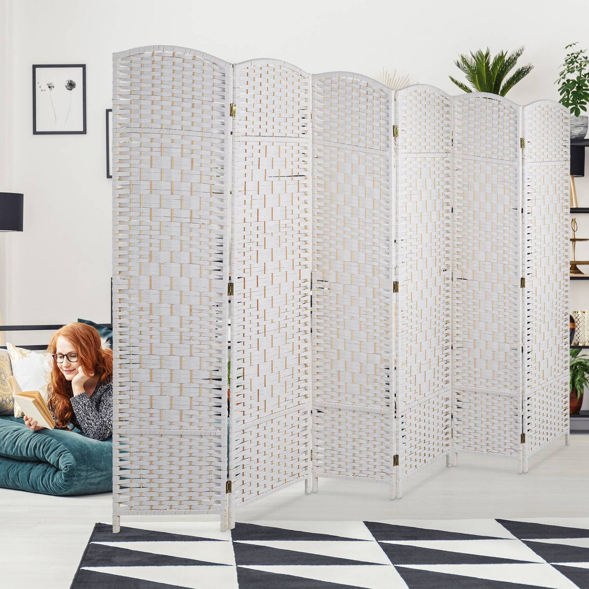 Screen wall with 6 panels