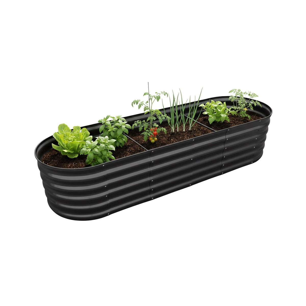 Semi-Circular Metal Planter Box – Raised Garden Bed