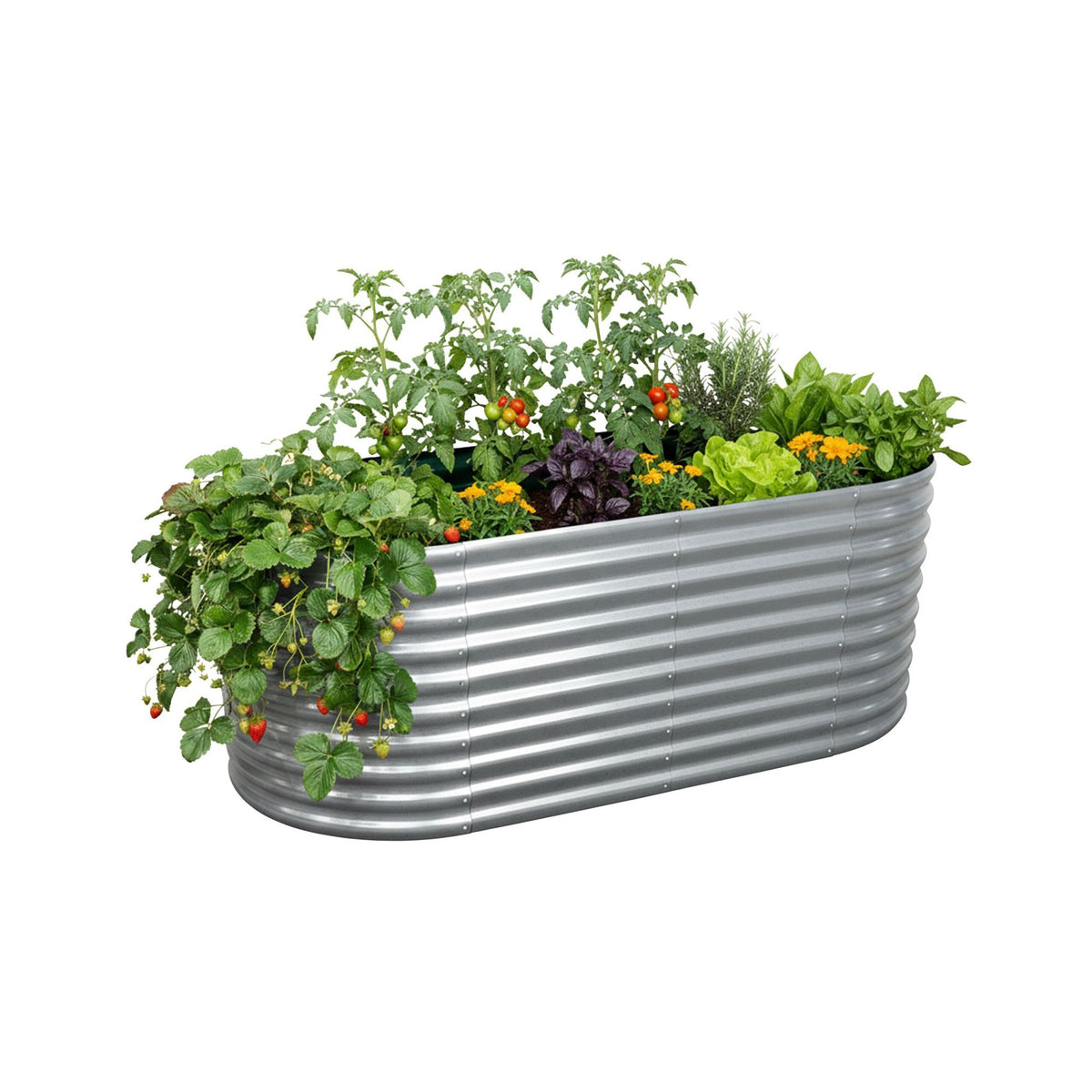 Semicircular Metal Raised Garden Bed – Galvanized